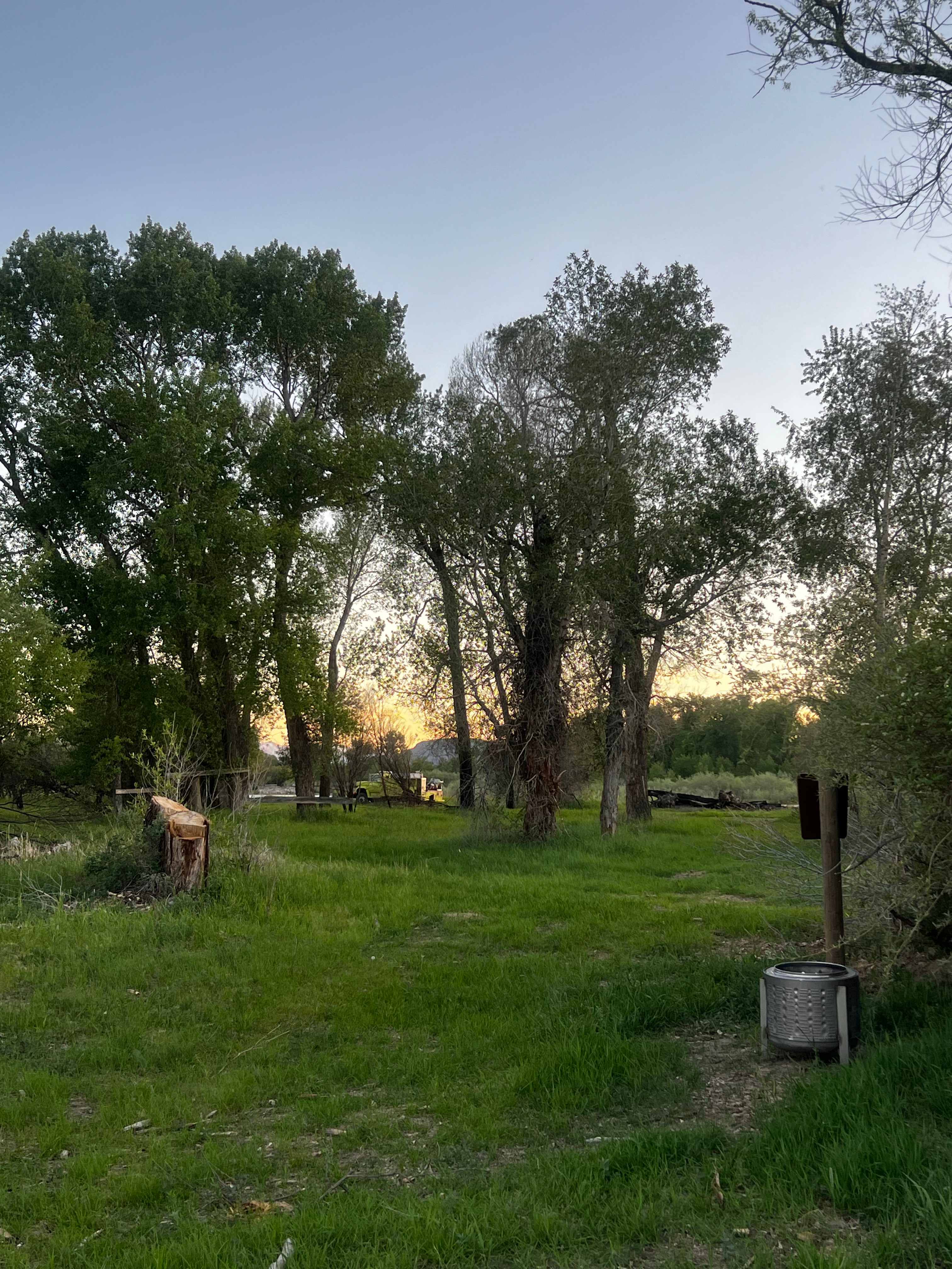 Picture of the site