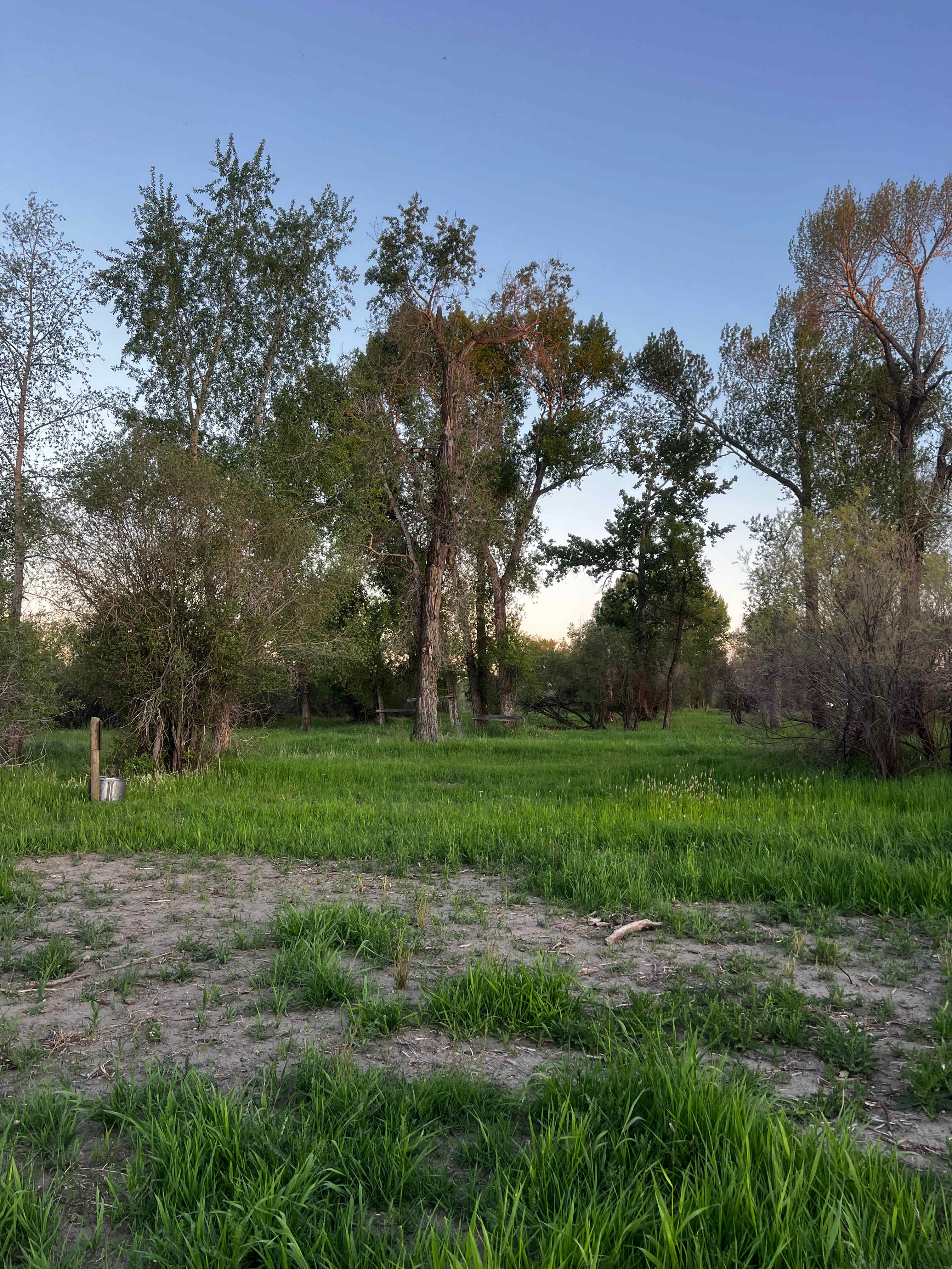 Picture of the site