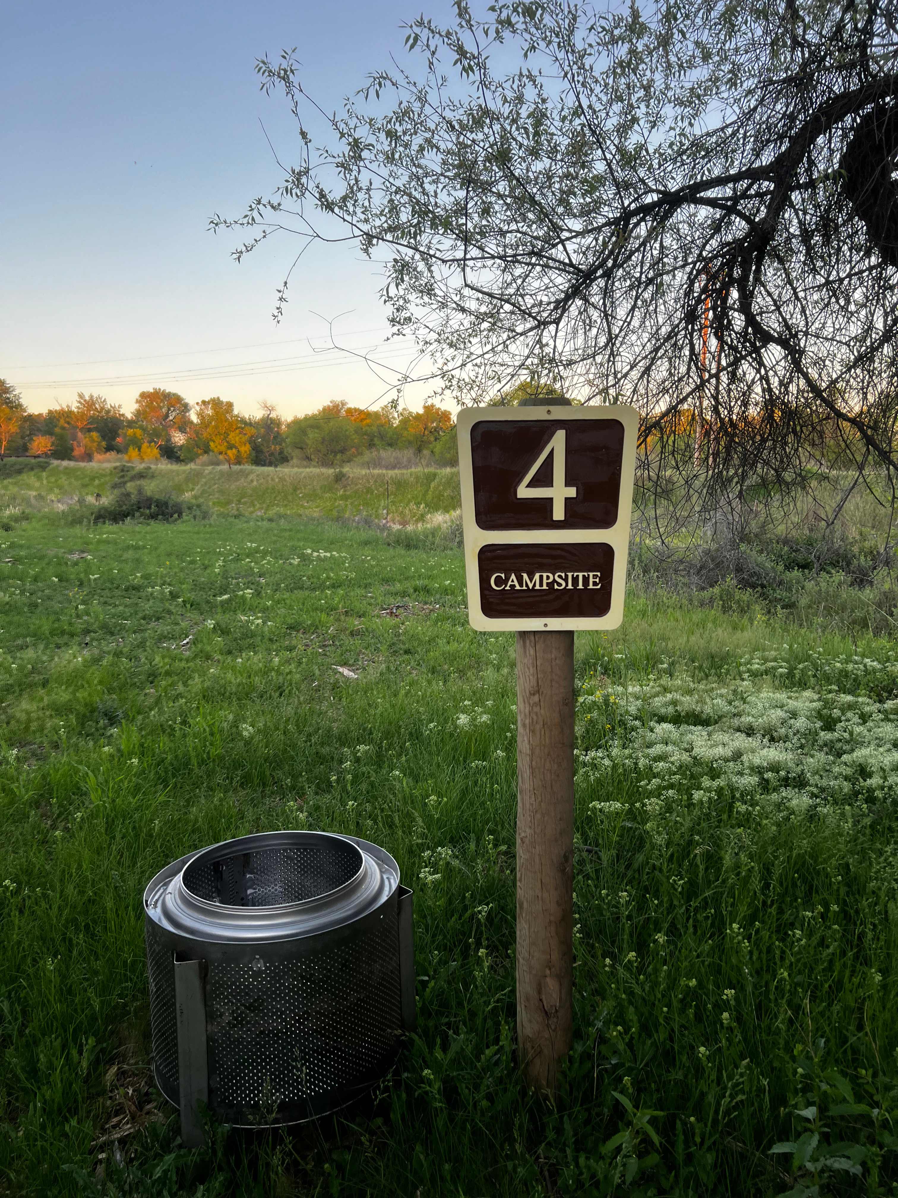 Picture of the site