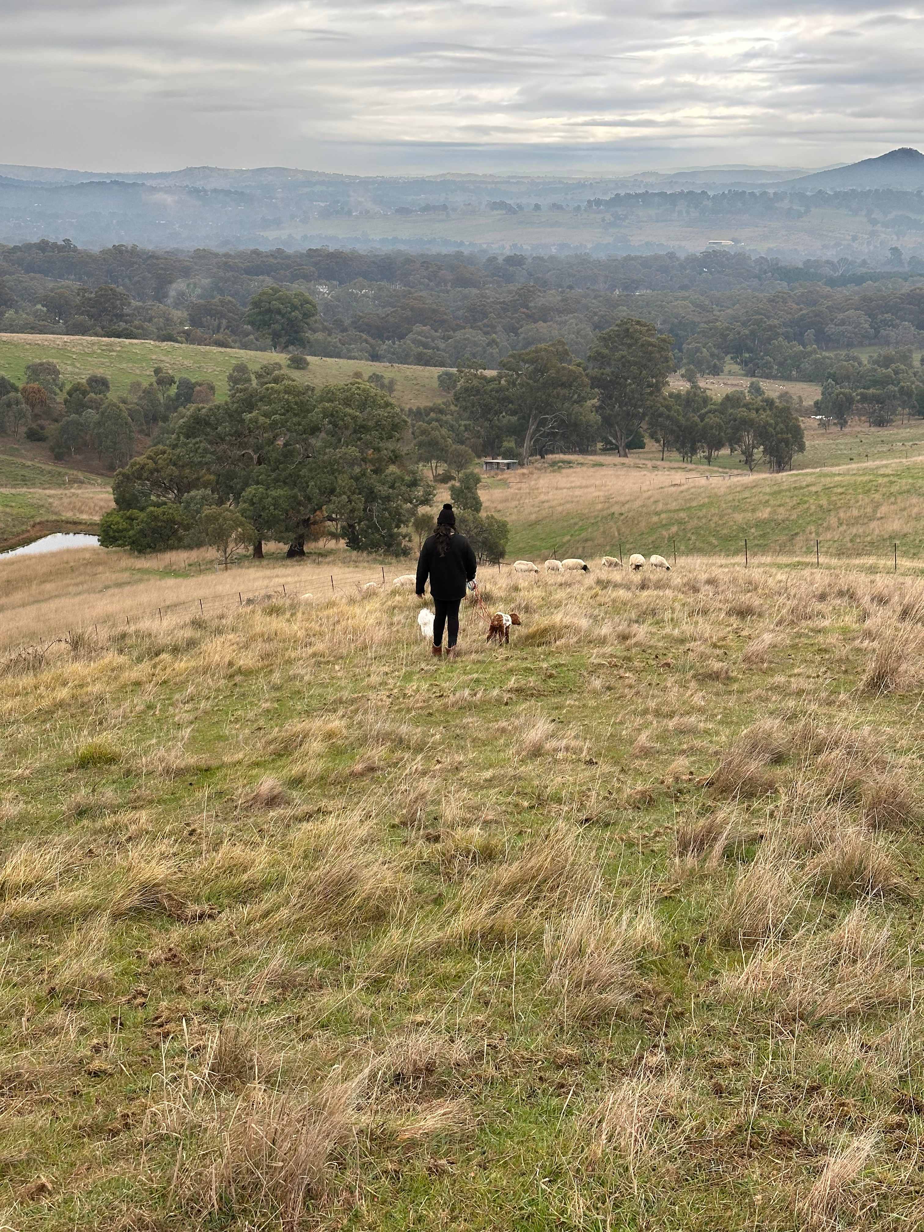 Chain of pond hills