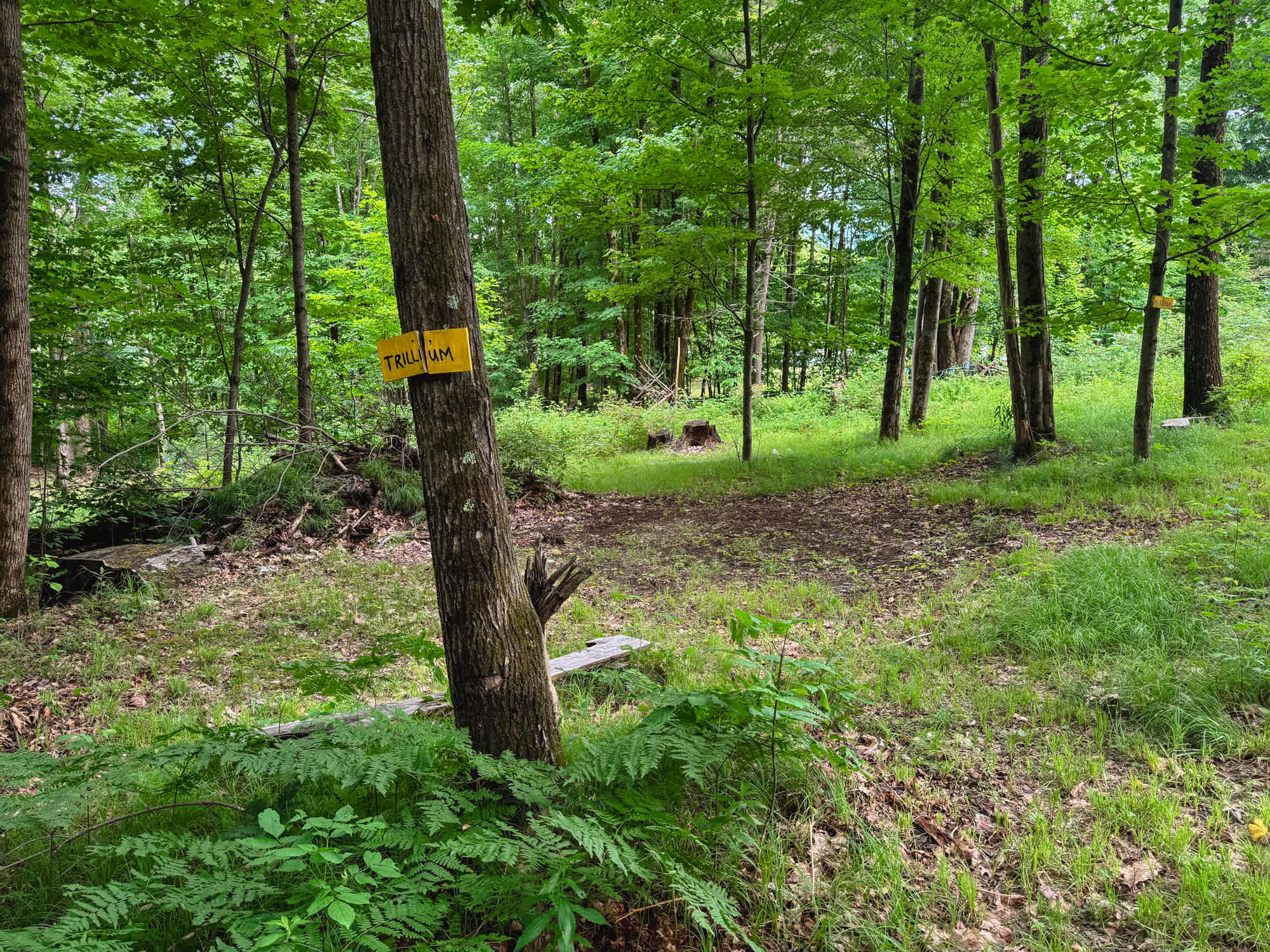 Meadow Lane Campground