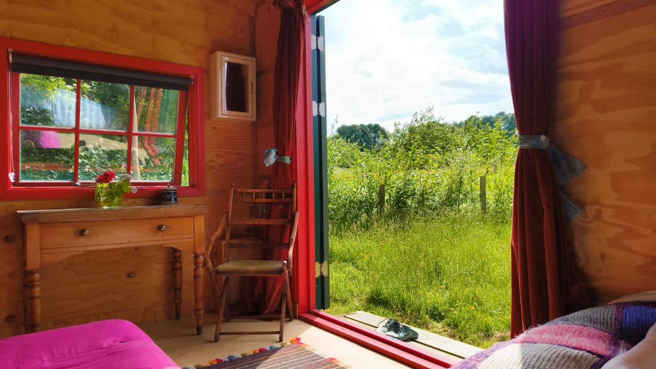 Plum Camping in May Tree Orchard