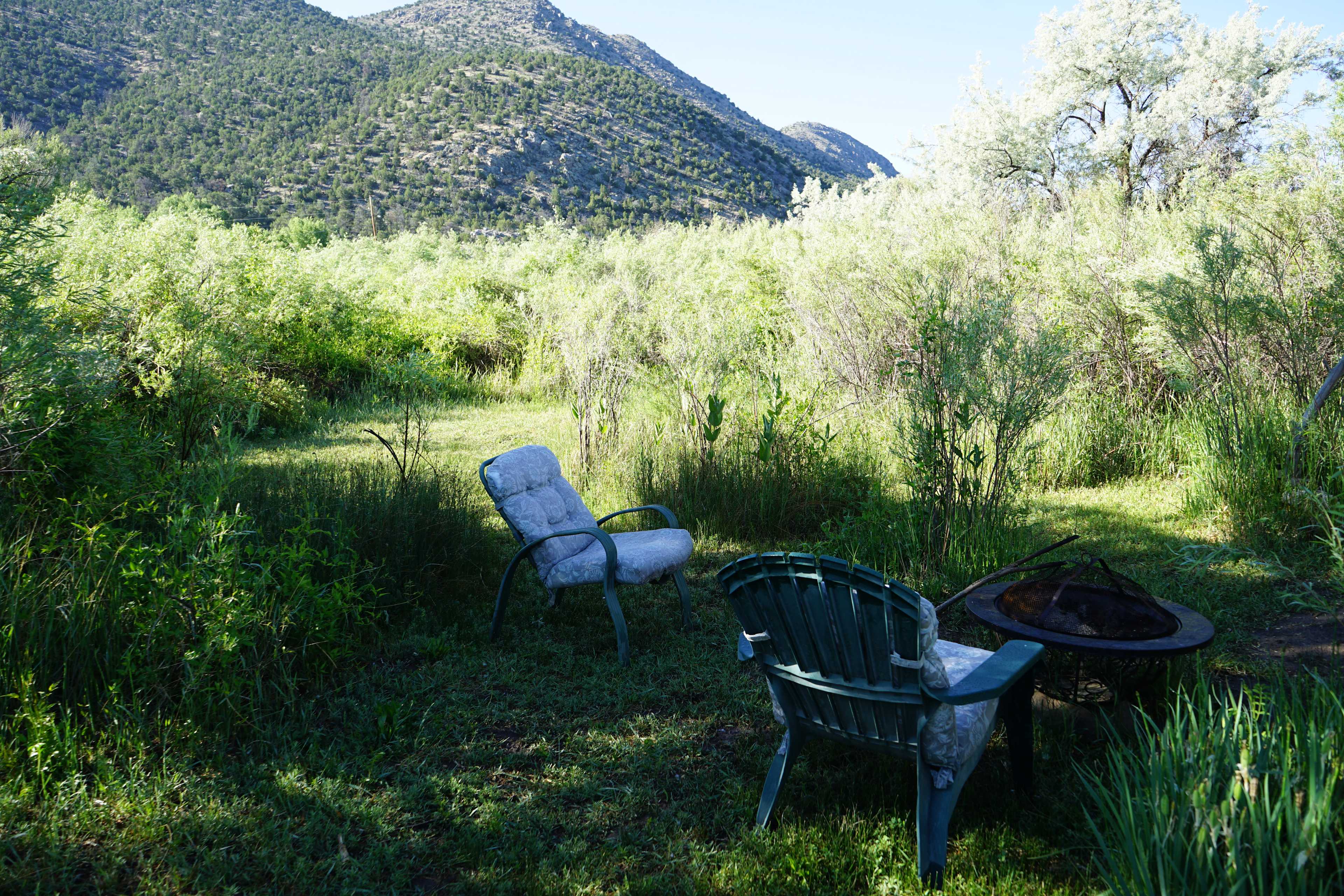 A sweet spot in its own right... this location charges you up with expansive views while feeling softly protected and held by the willow brush, olive and apple trees.