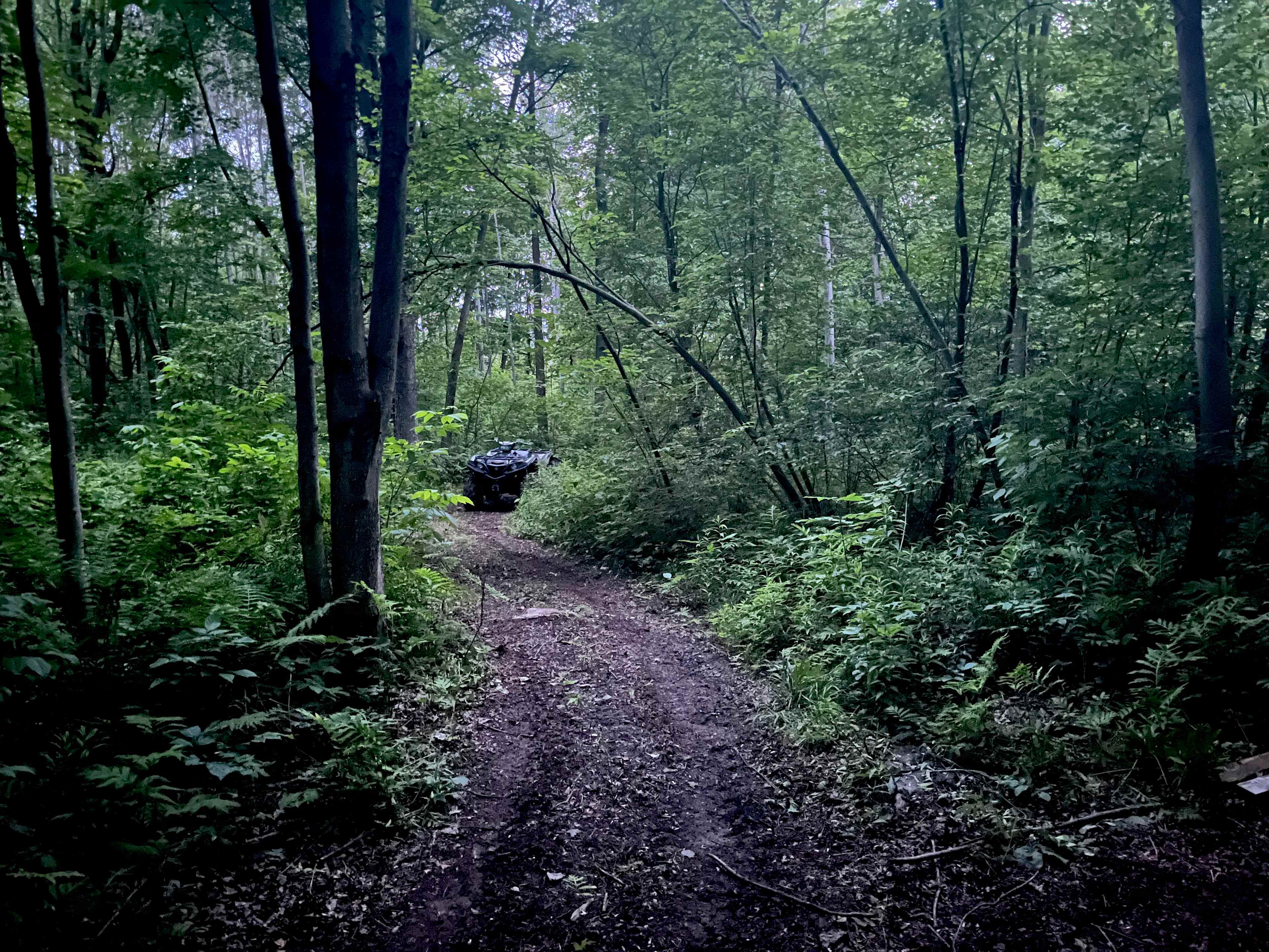 Some of our trails leading to our private camp sites and two river,  aren’t we lucky? 
🏕️🌲🛶🛶