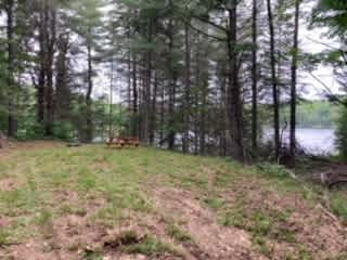 Ball Lake Tent Camping