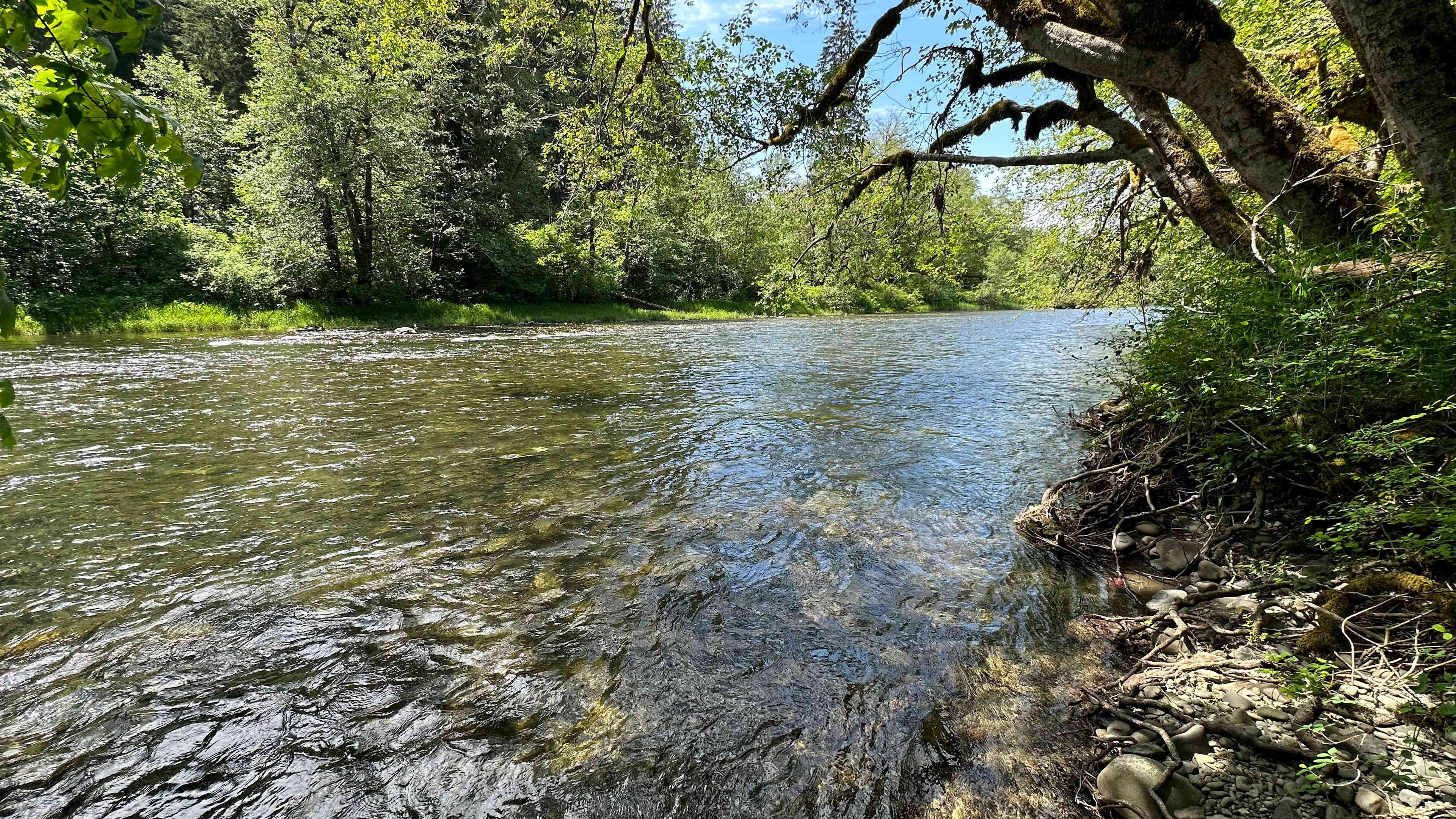 Sol Duc Waterfront