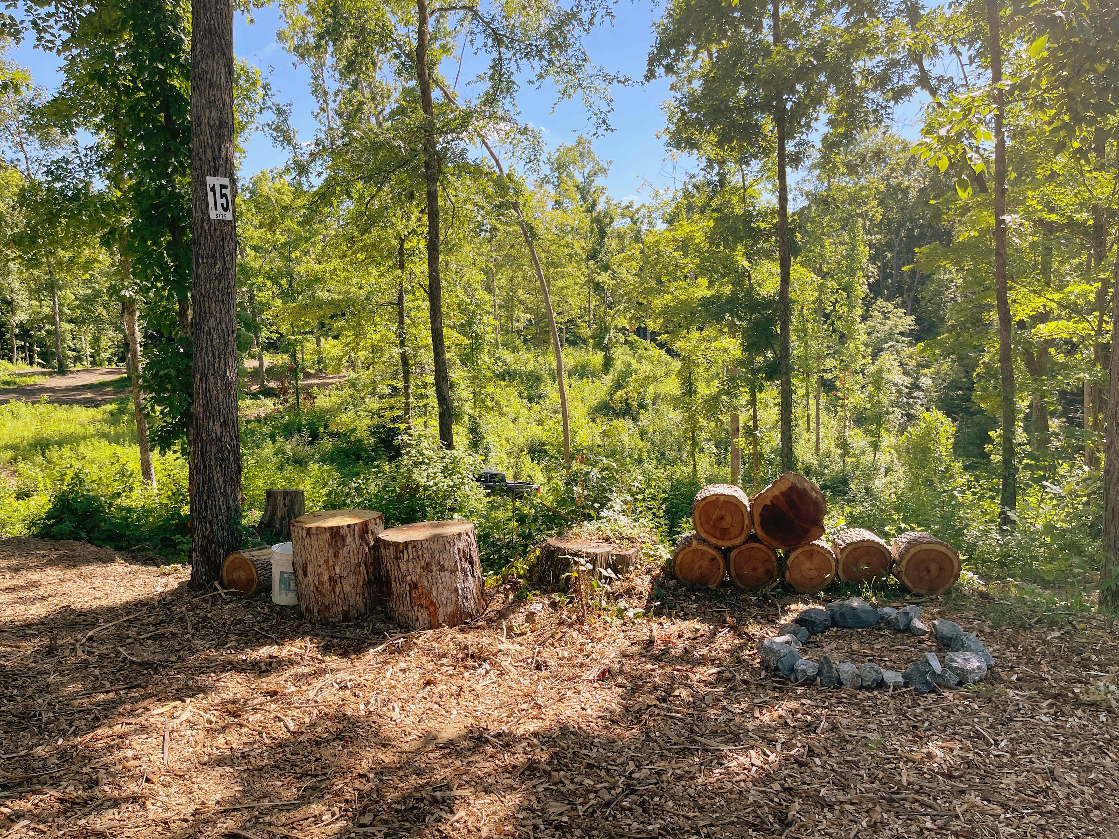Picture of the site