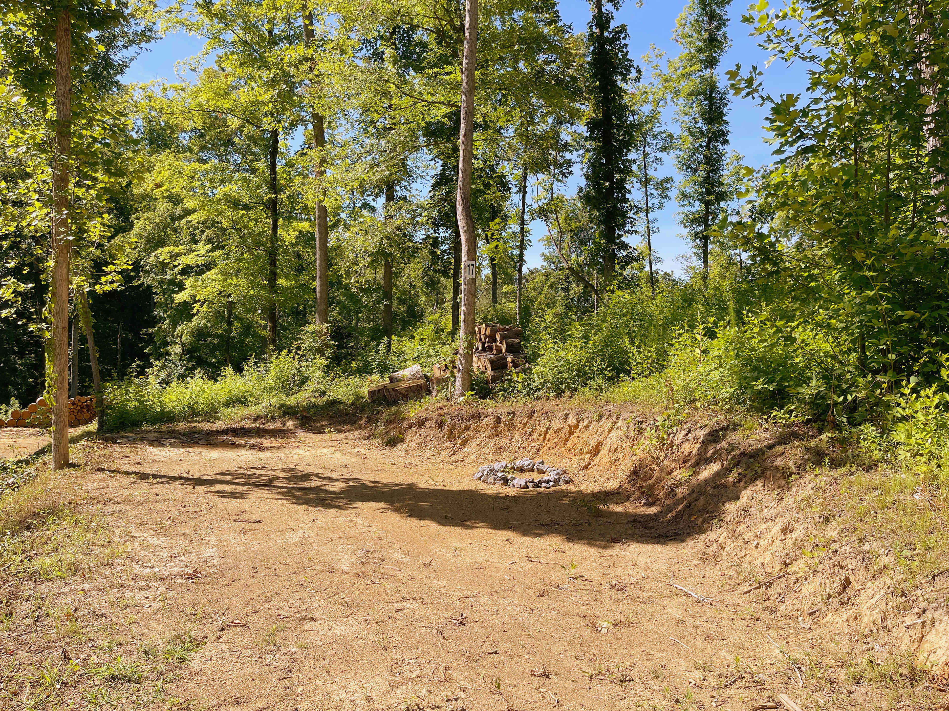 Picture of the site