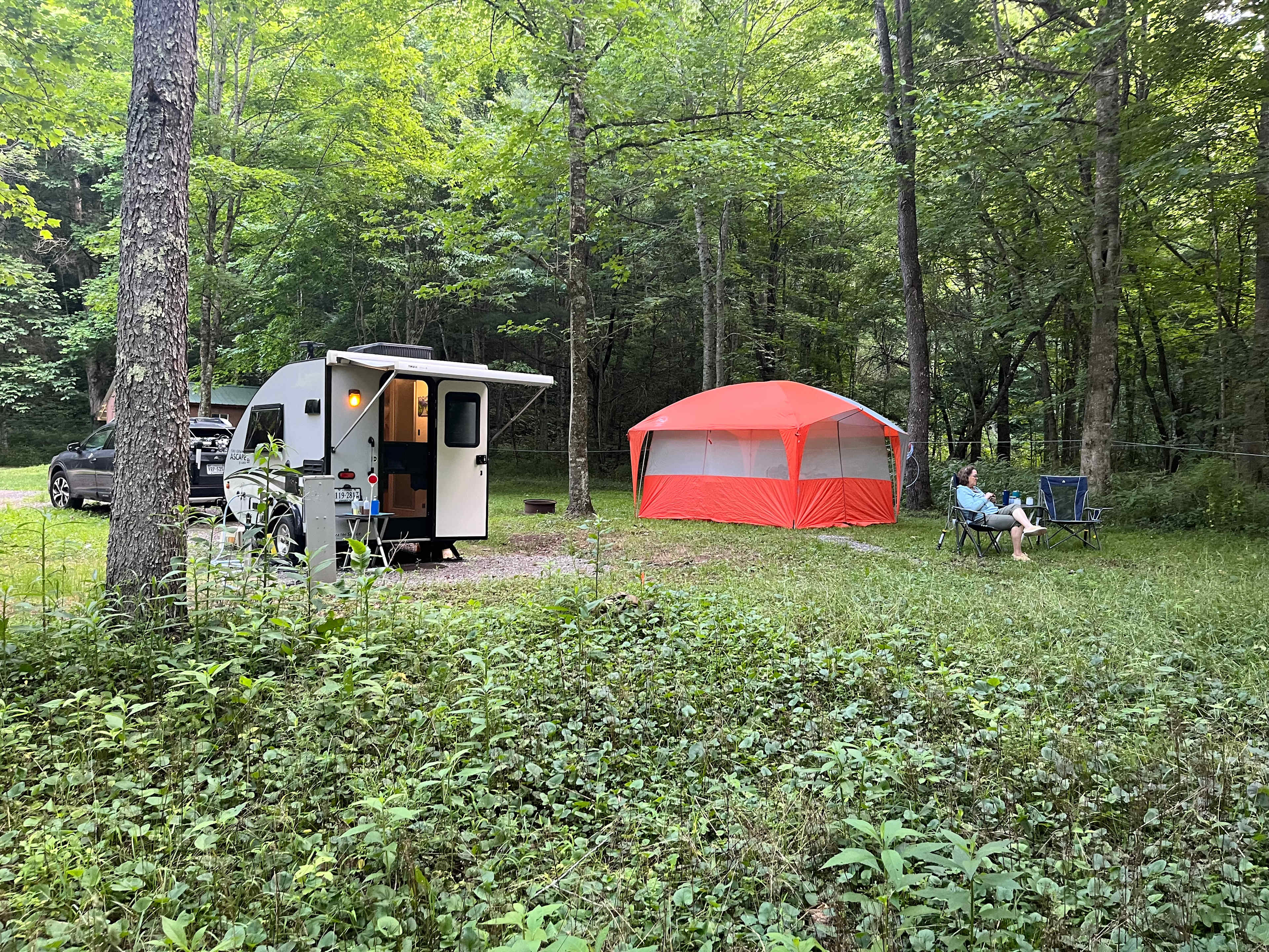 Picture of the site