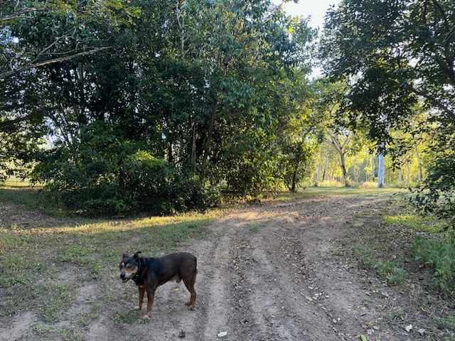 Crystal Brook Camping