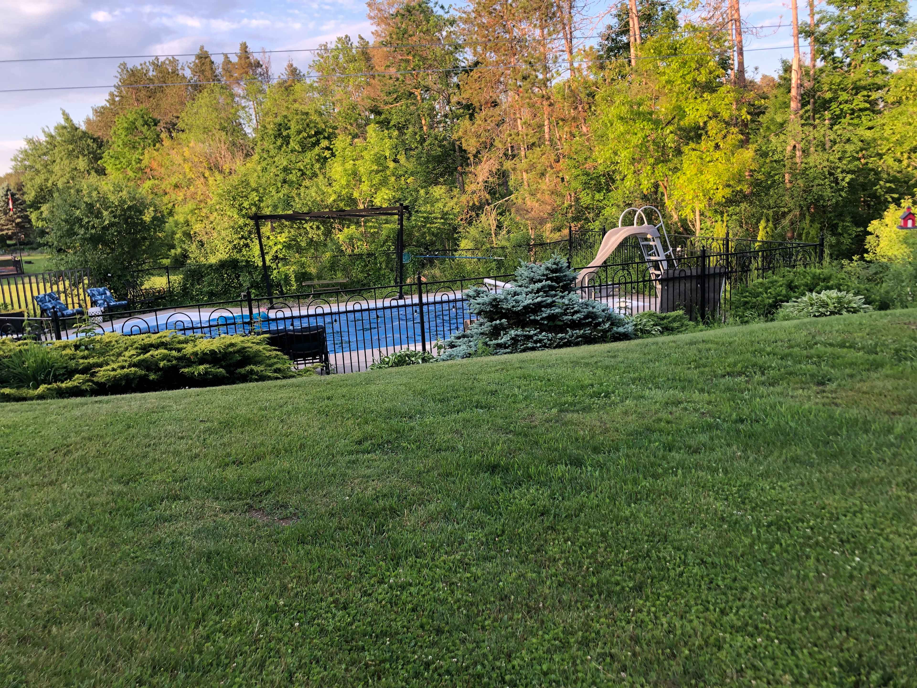 Honeywood Hollow