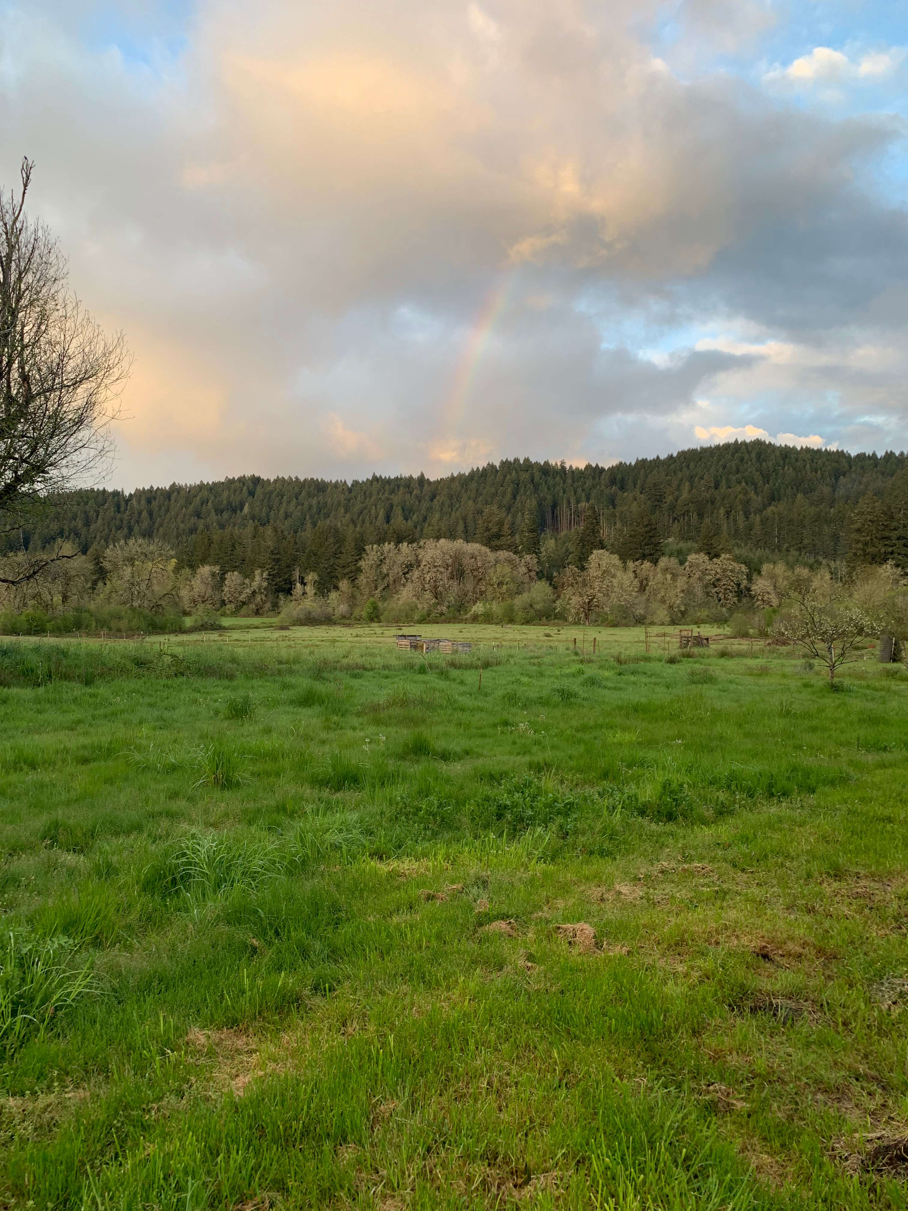 The Good Farm