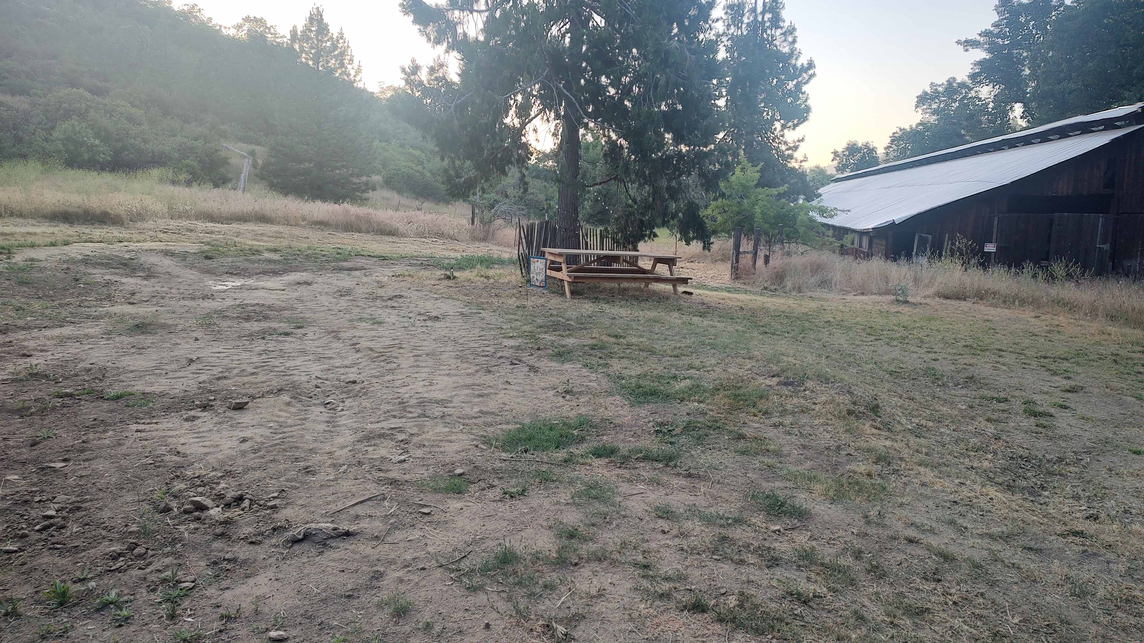 Picture of the site