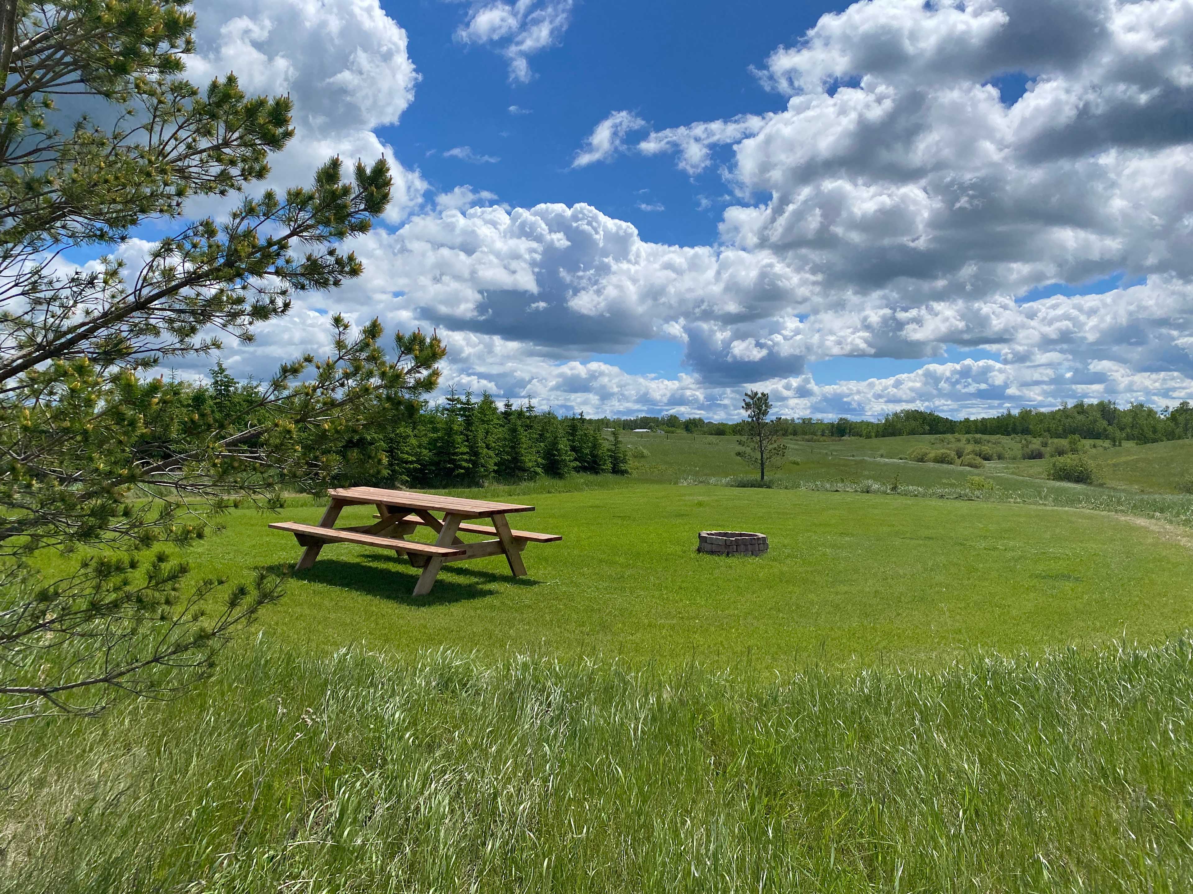 Picture of the site