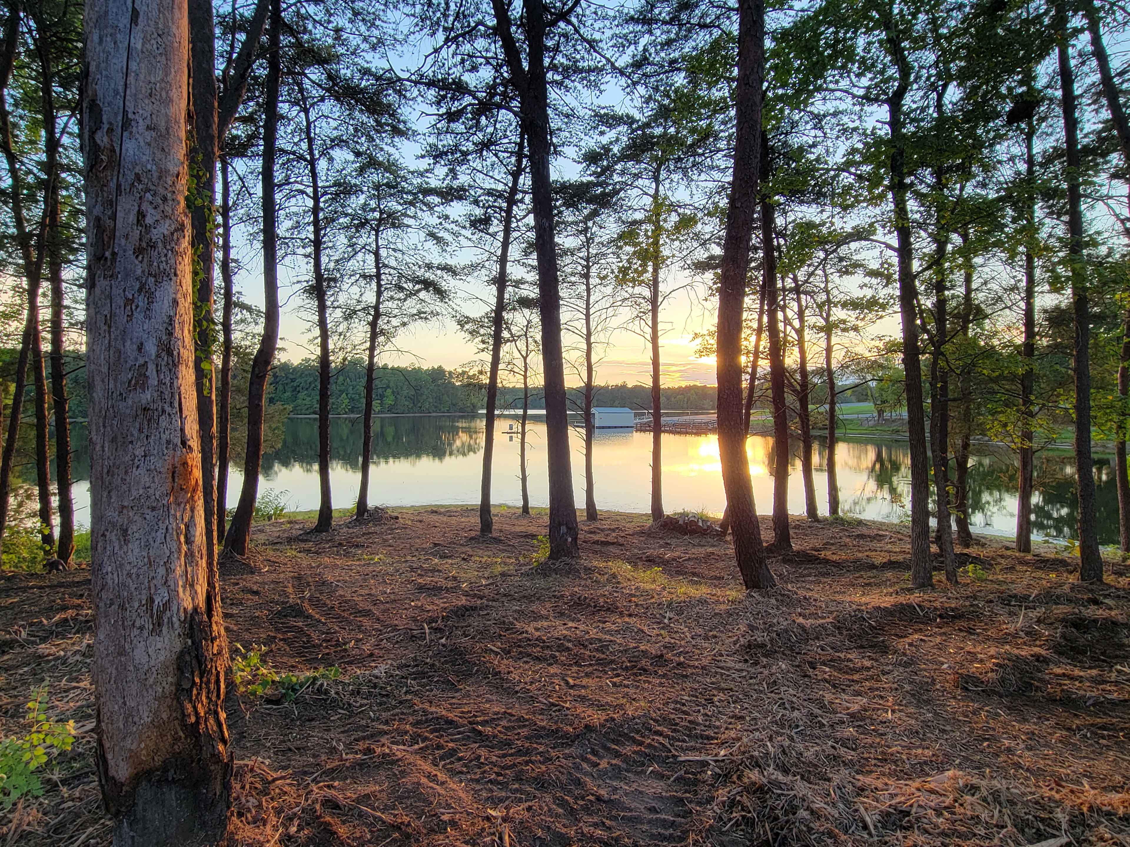 Turtleback Cove