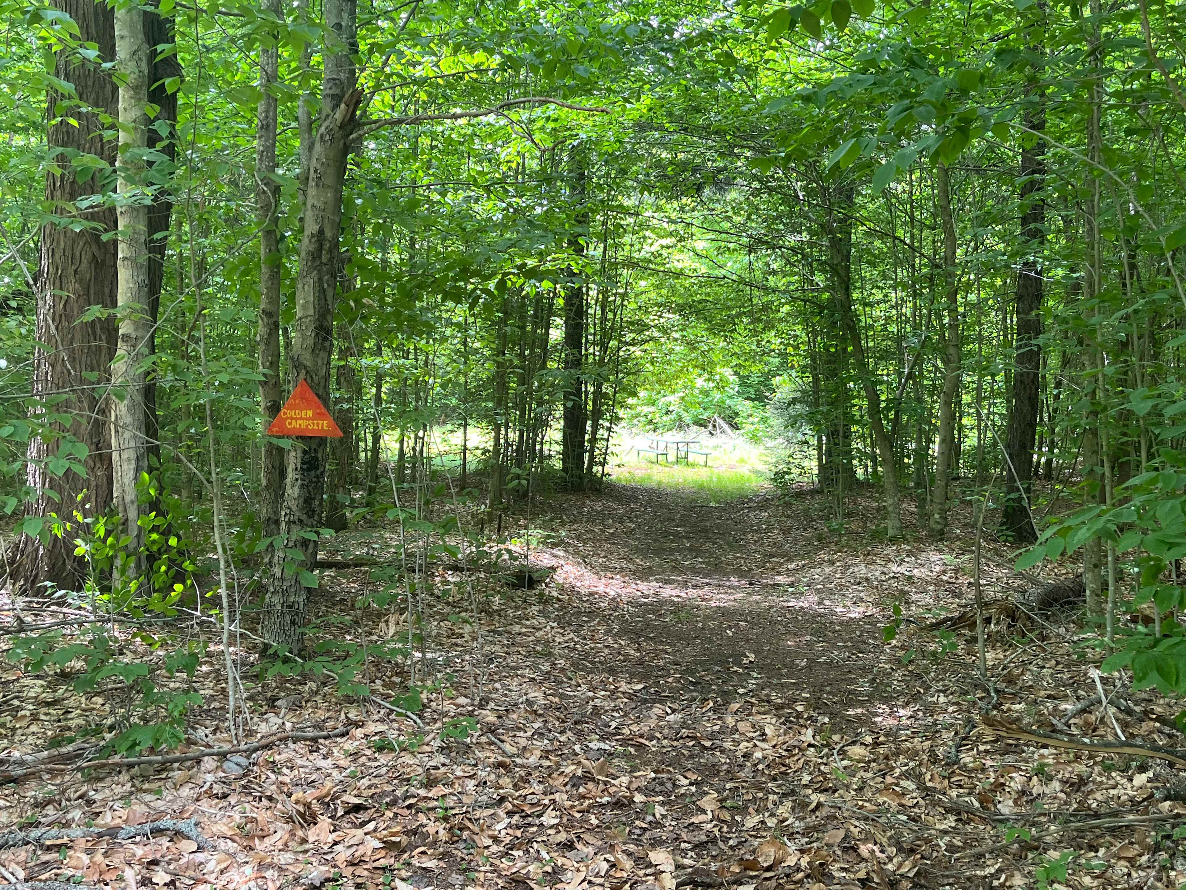 Mountaineer Campground @Massawepie