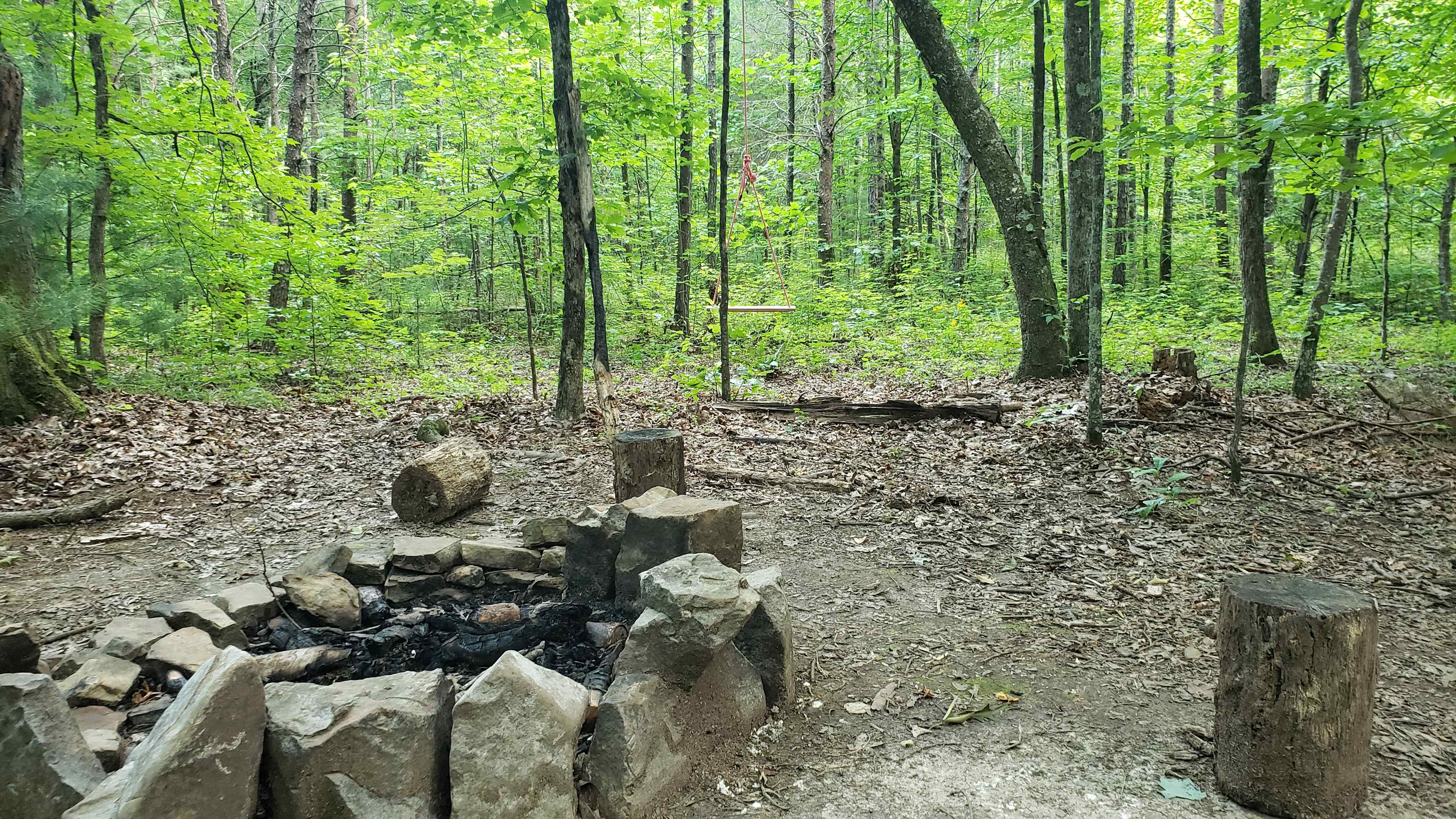 Tree swing near firepit 