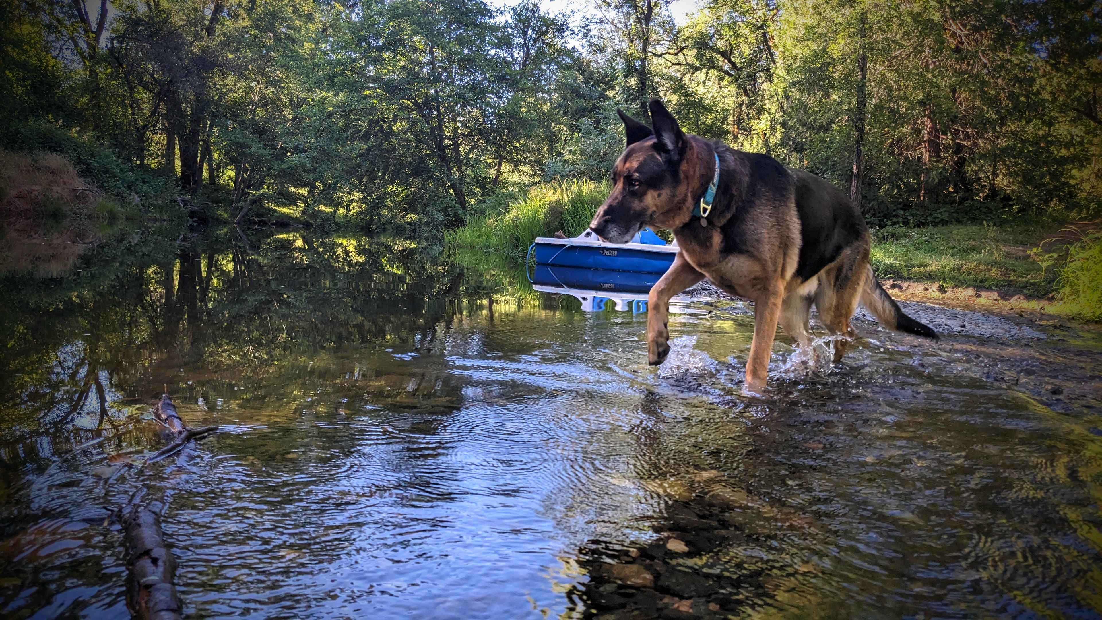 Camp Run Amuck Hollow