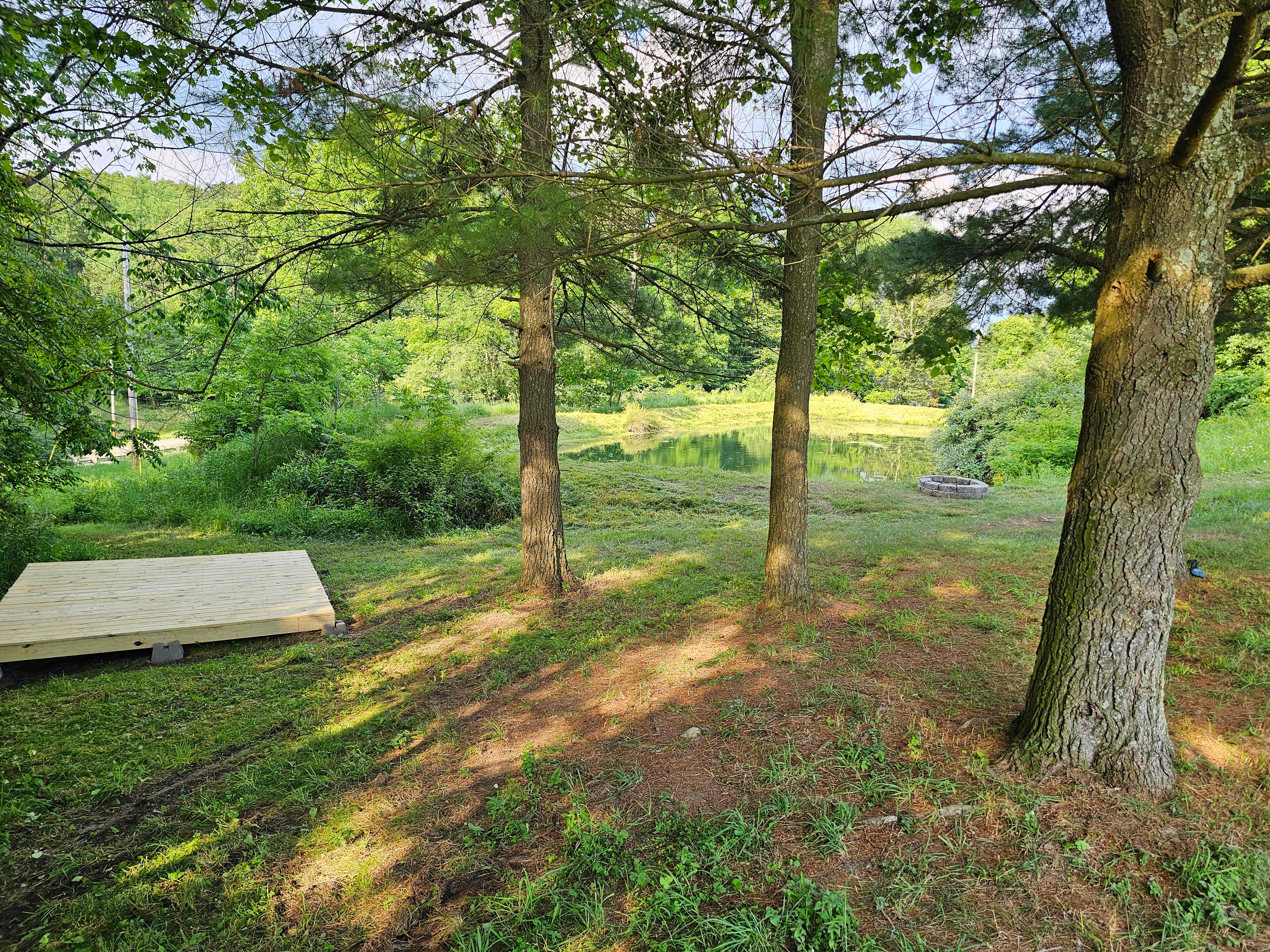 Picture of the site