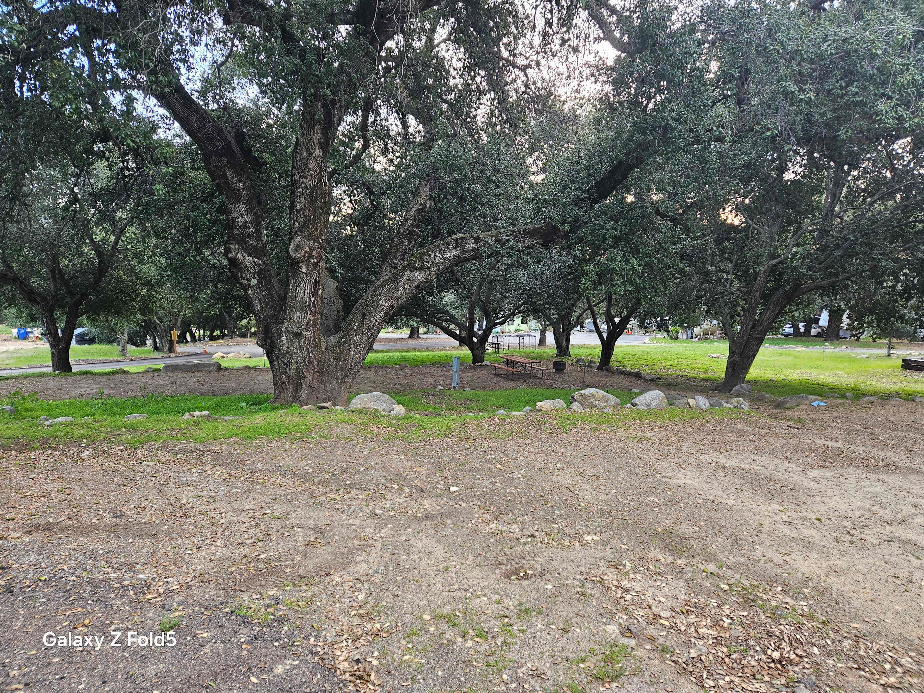 Picture of the site