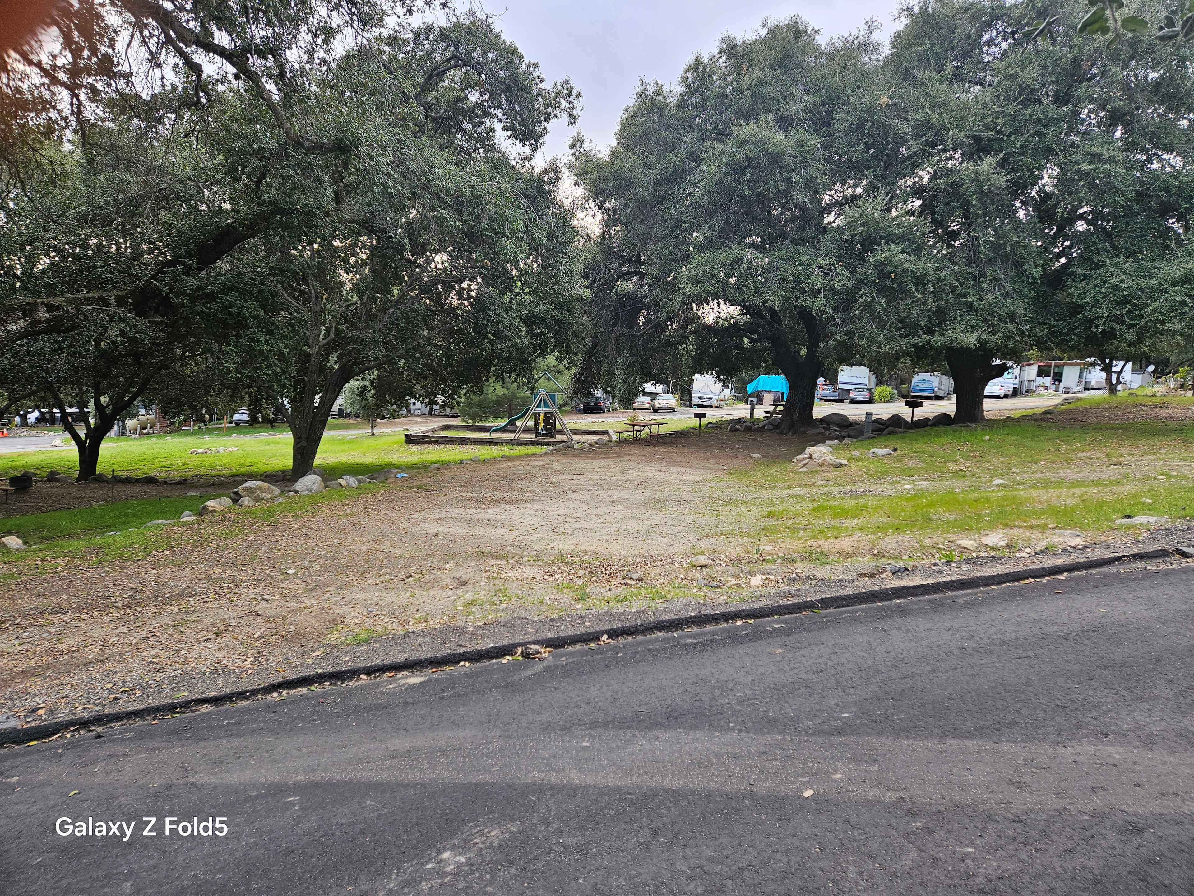 Picture of the site