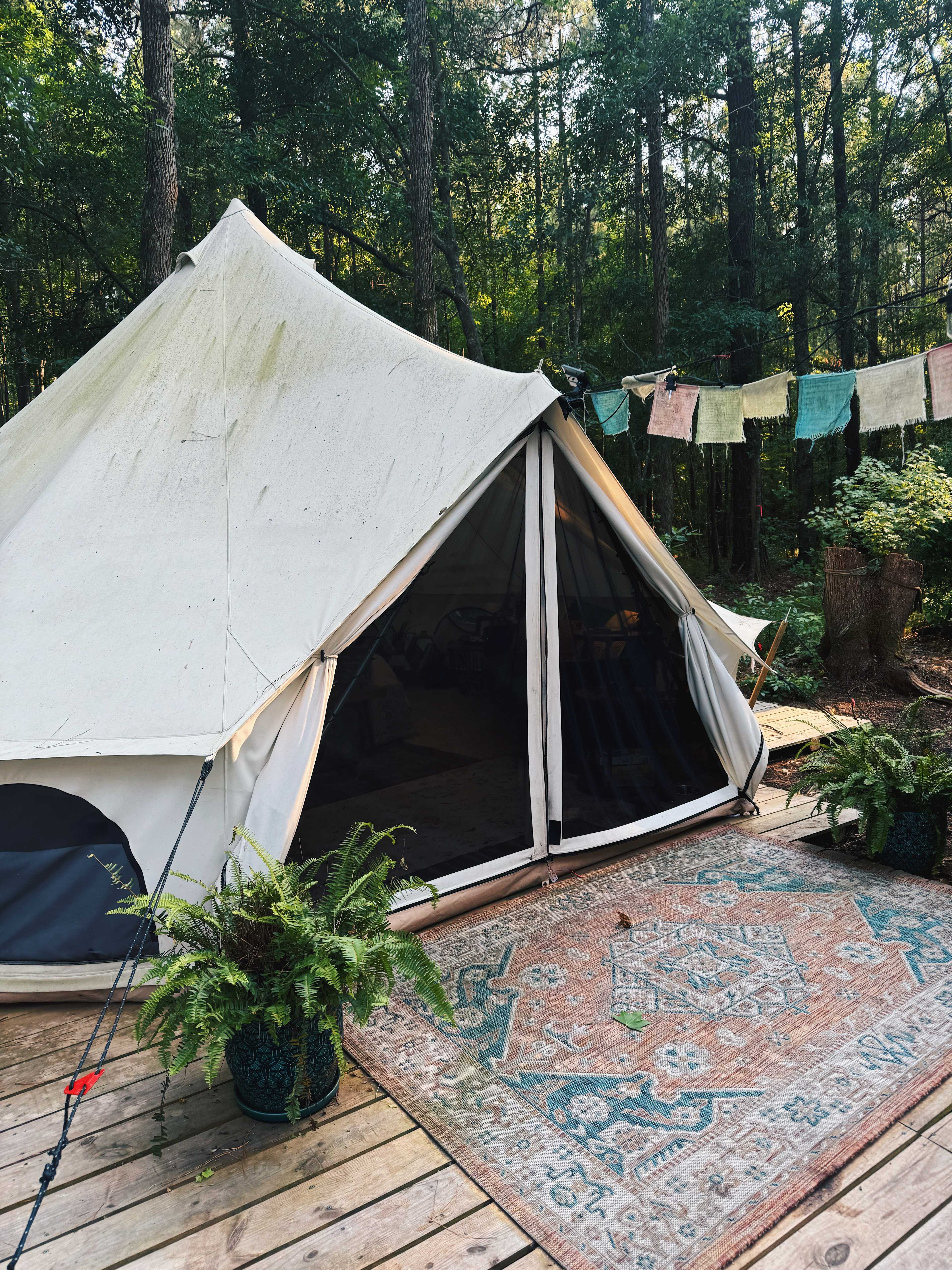 The Fern Getaway