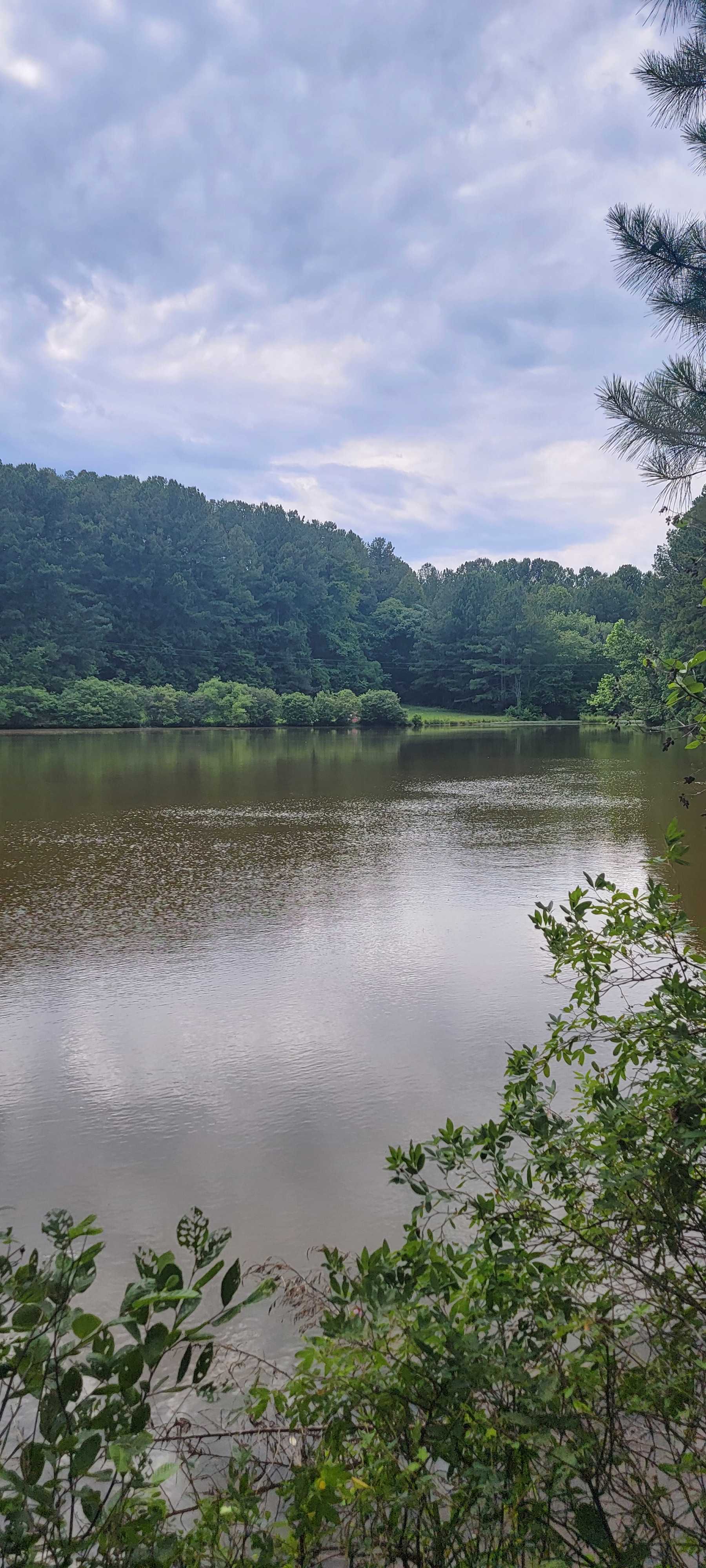Camp is across the water hidden by bushes.