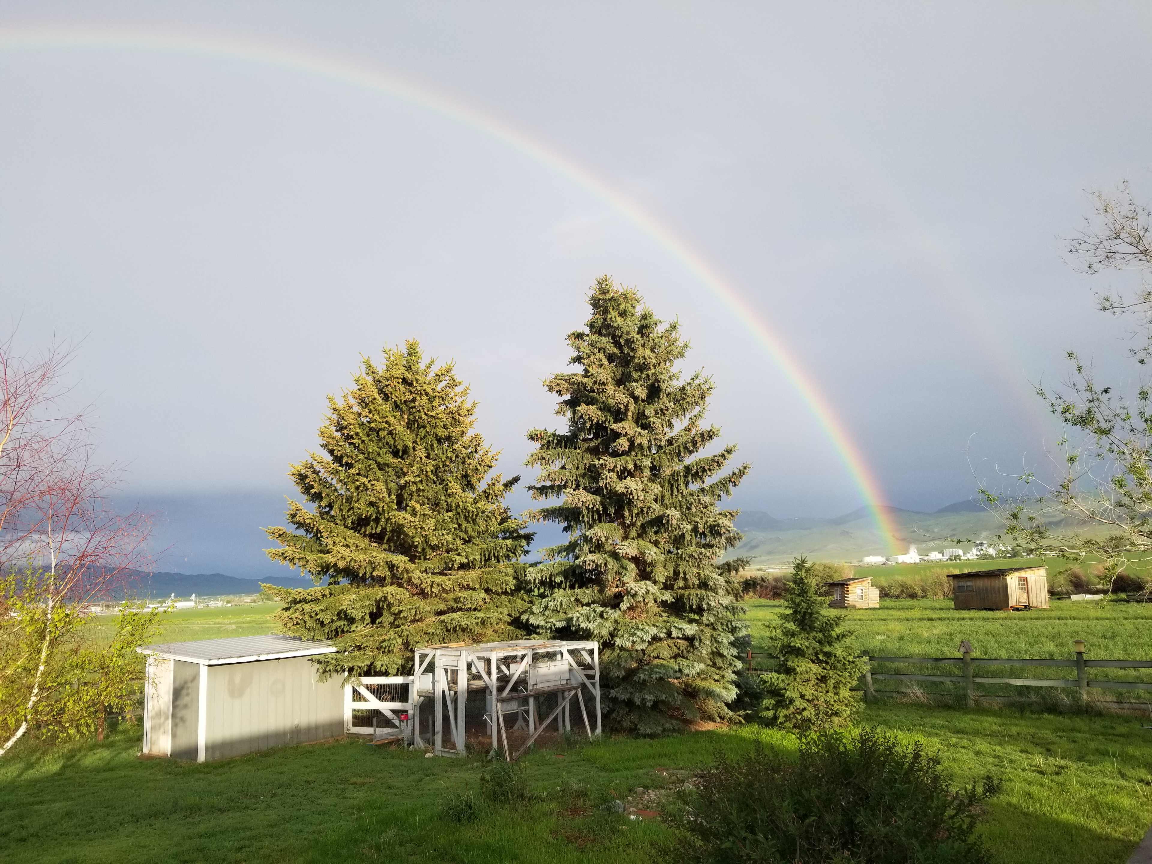Country RV And Tent Spots
