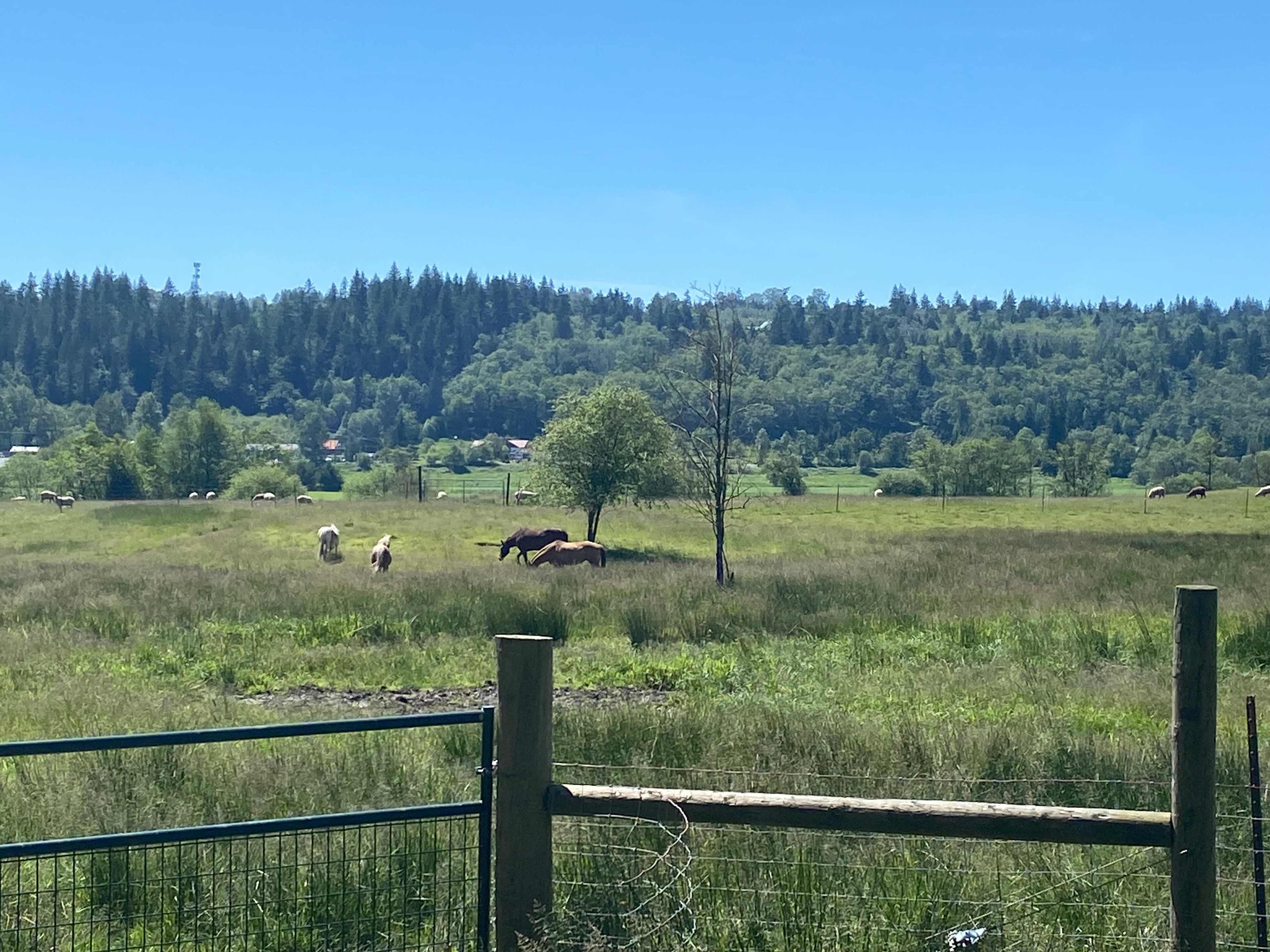 Otter Pond Pastures