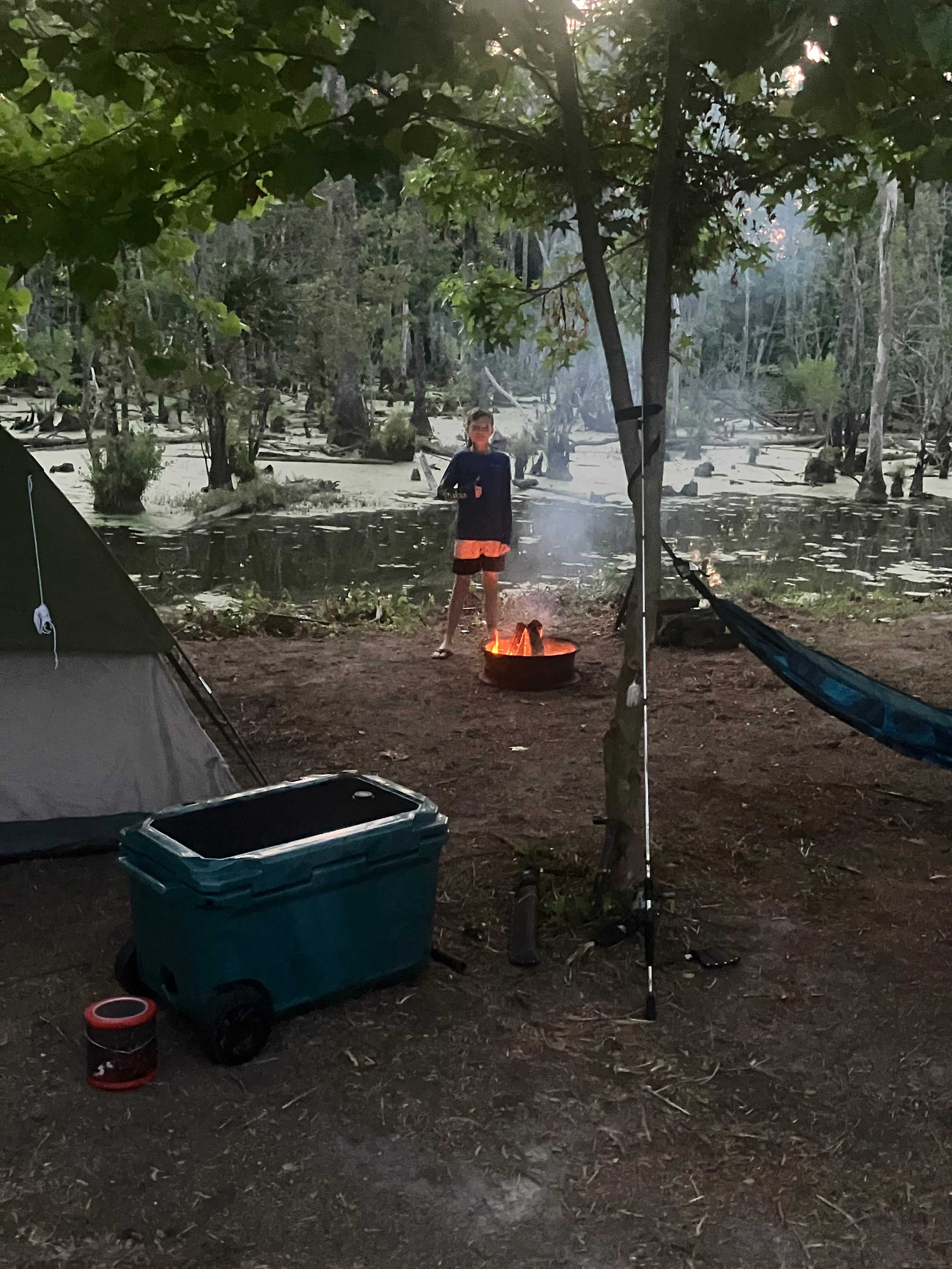 Picture of the site