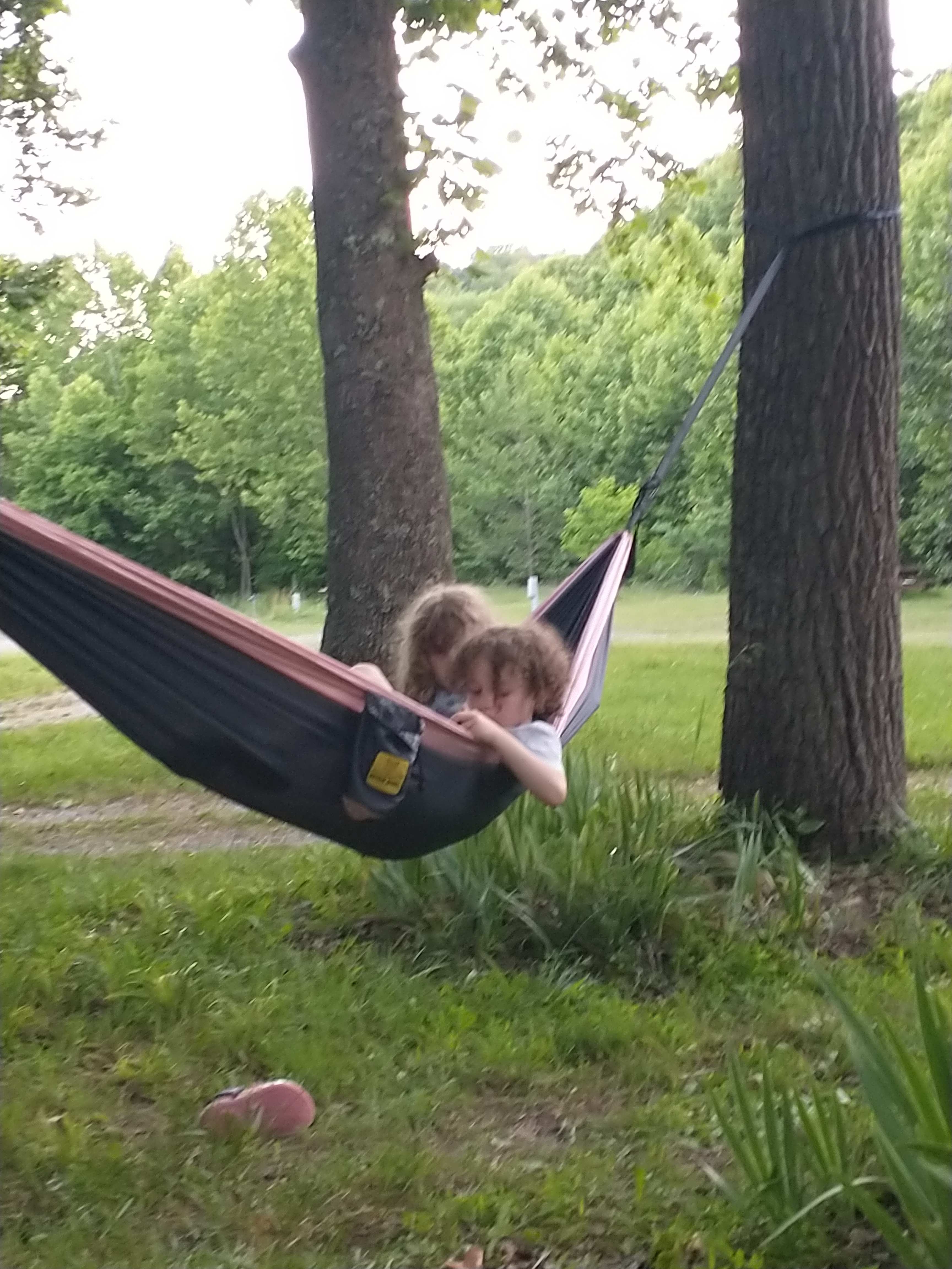 Swedish Lilac Campground & Events