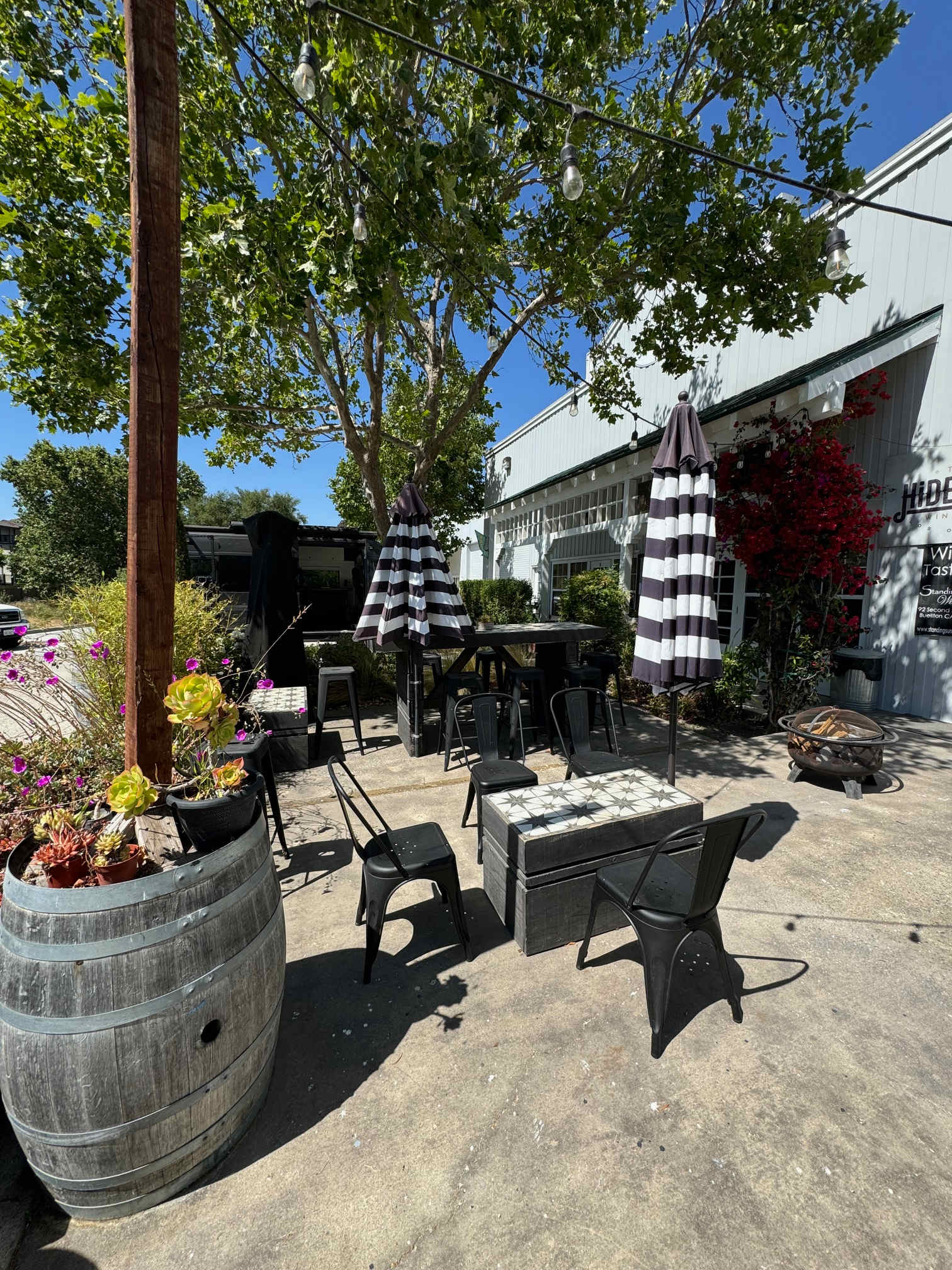 Standing Sun Winery