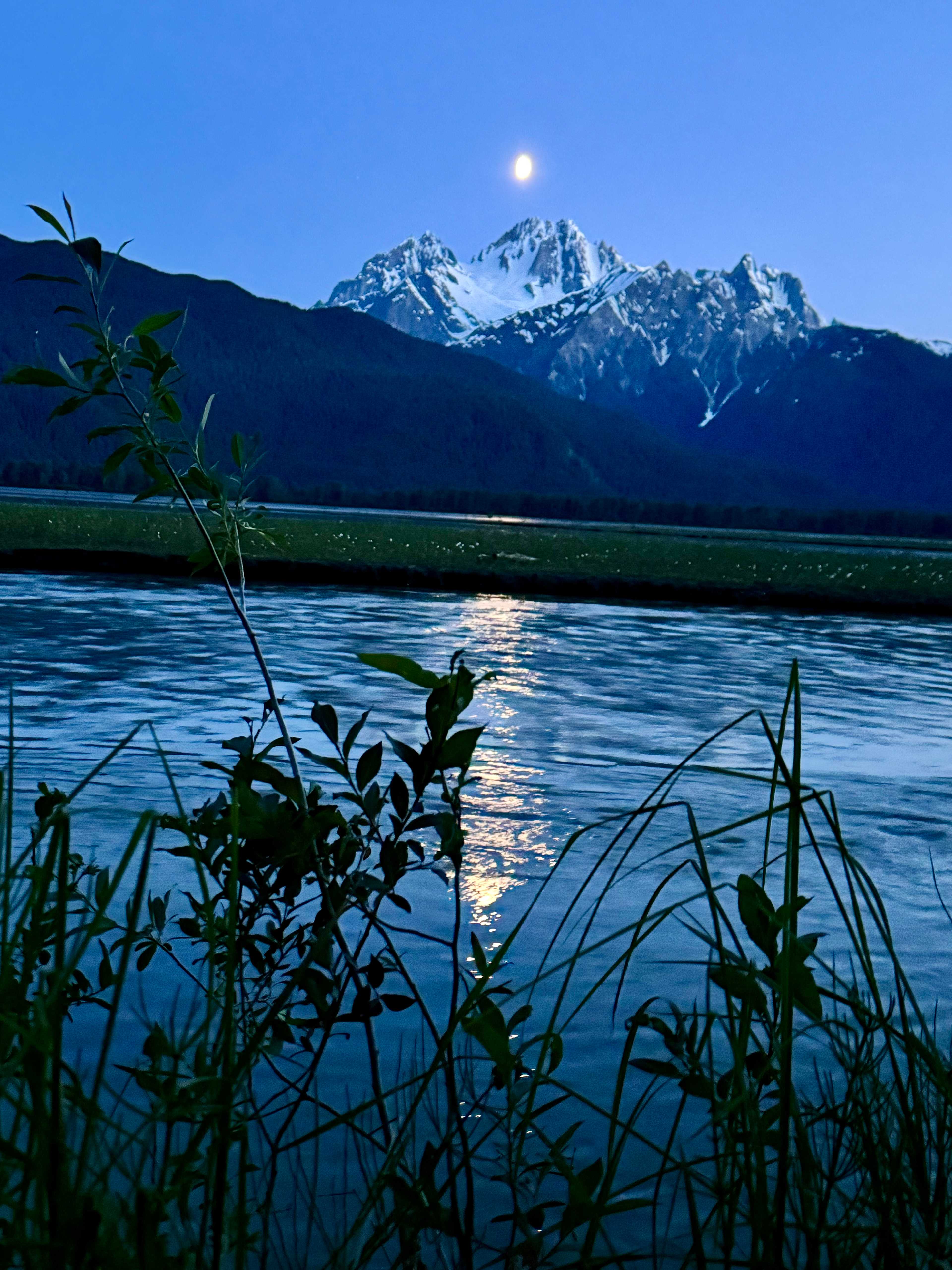 Haines River Camp