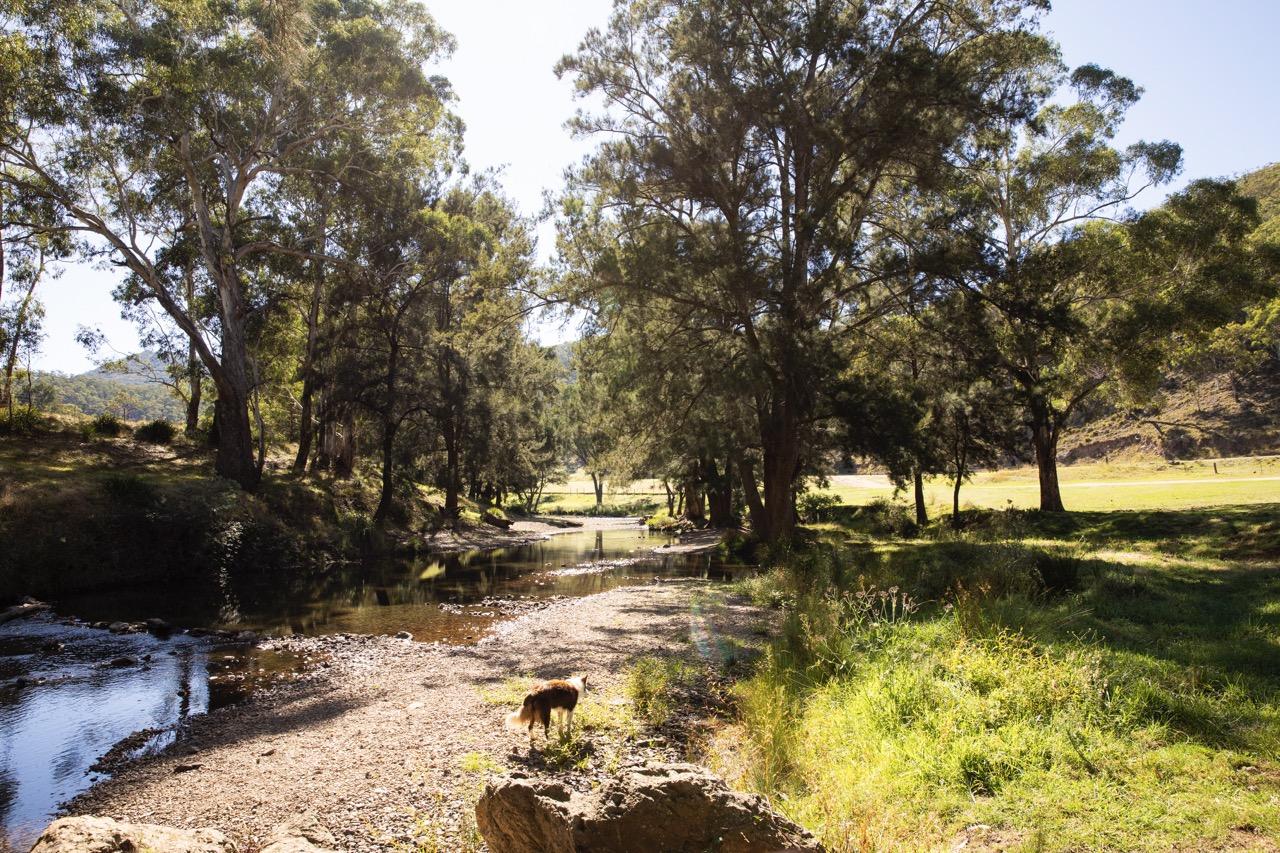 Riverside Camping, Glamping, Cabins