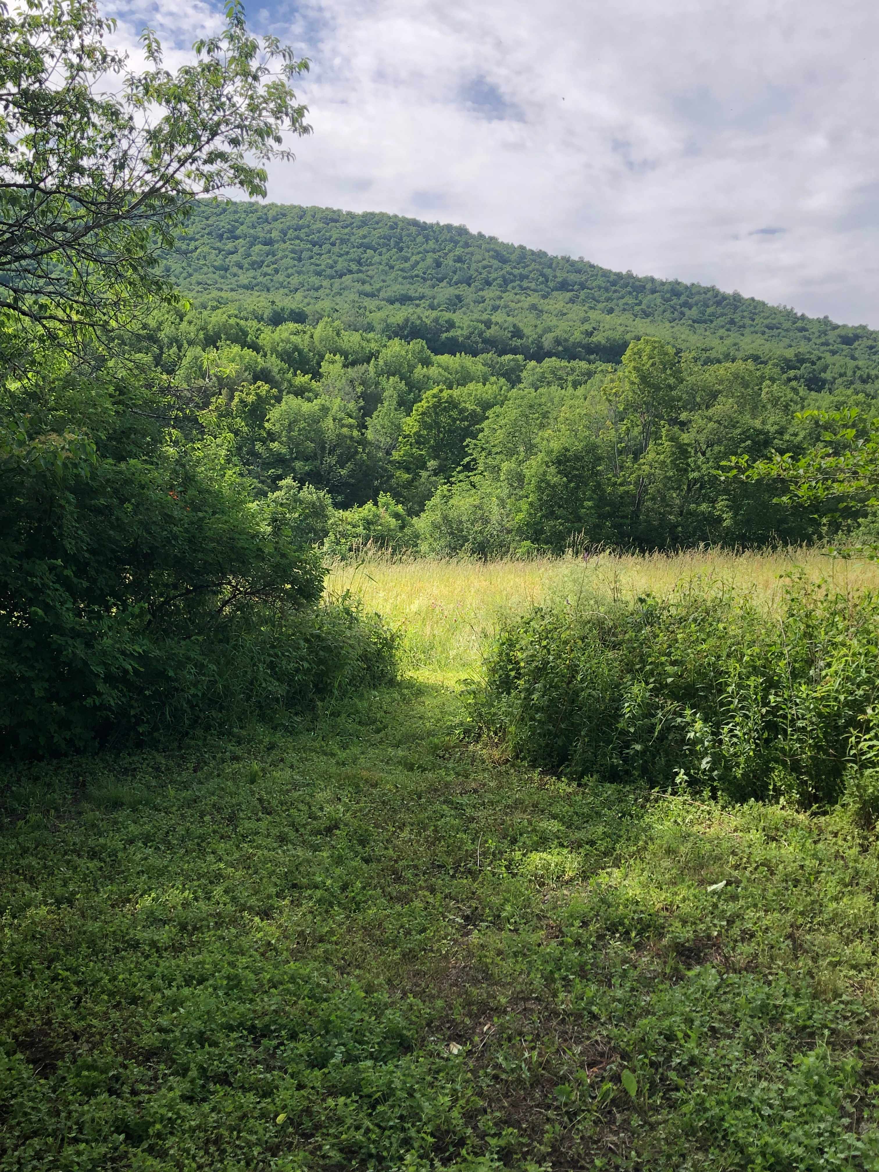 Secluded Farm Camp with Views