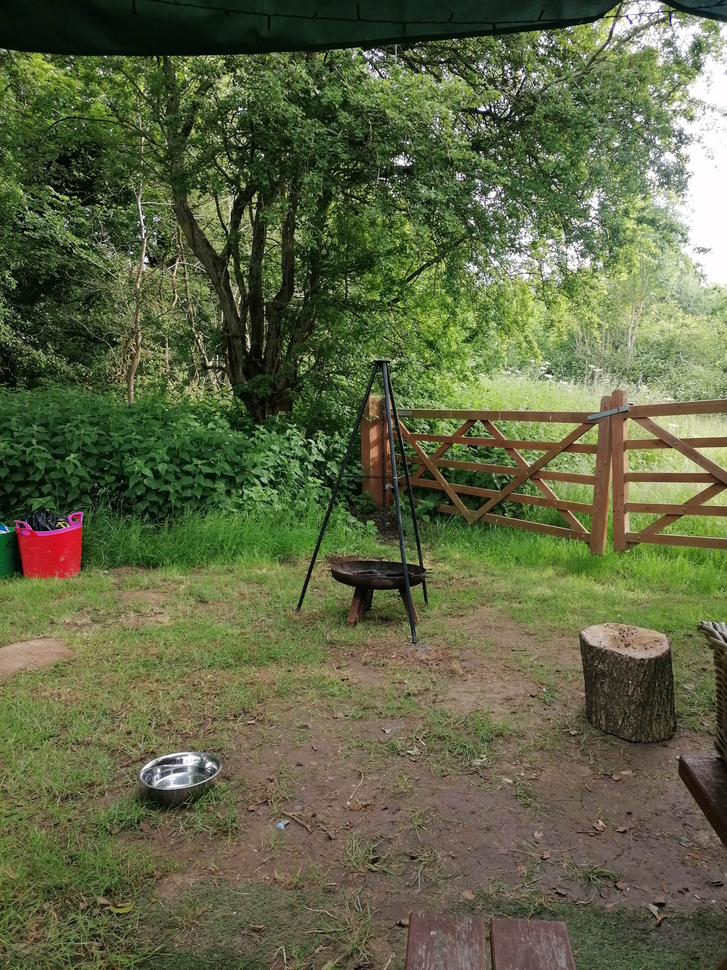 Fire bit and grill