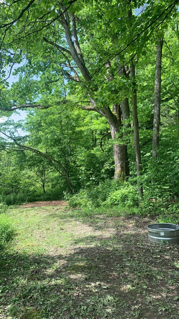 Dragonfly Hollow Farm