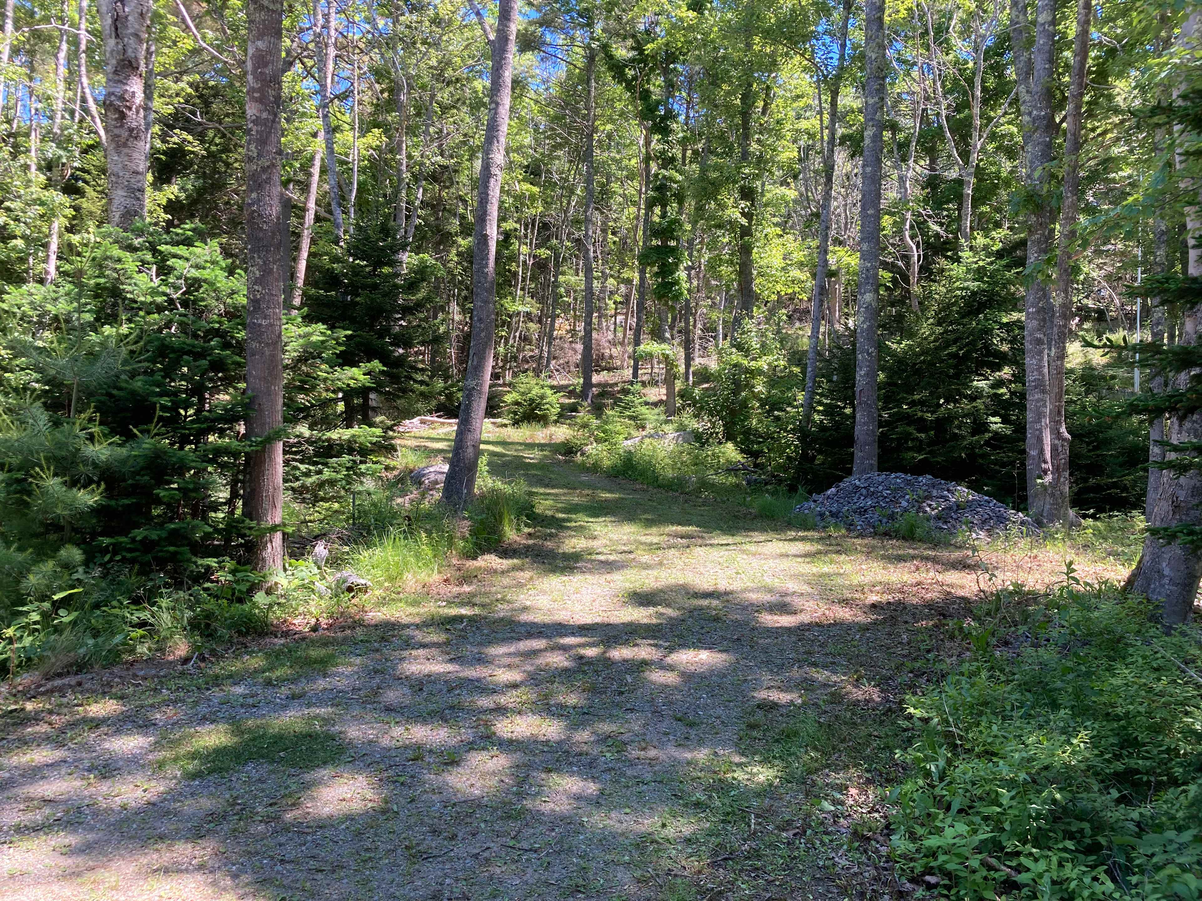 Camp Nepenthe