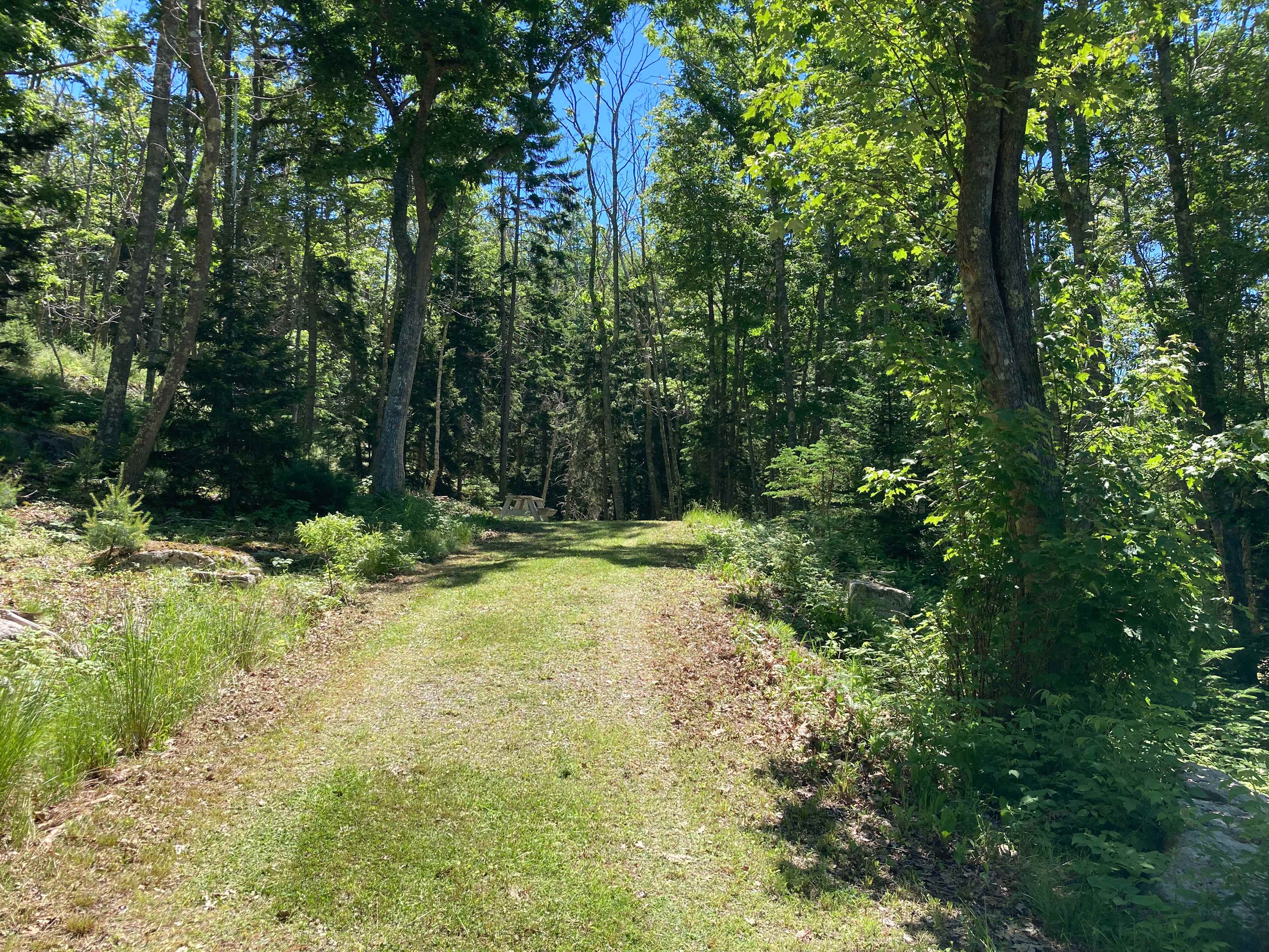 Camp Nepenthe