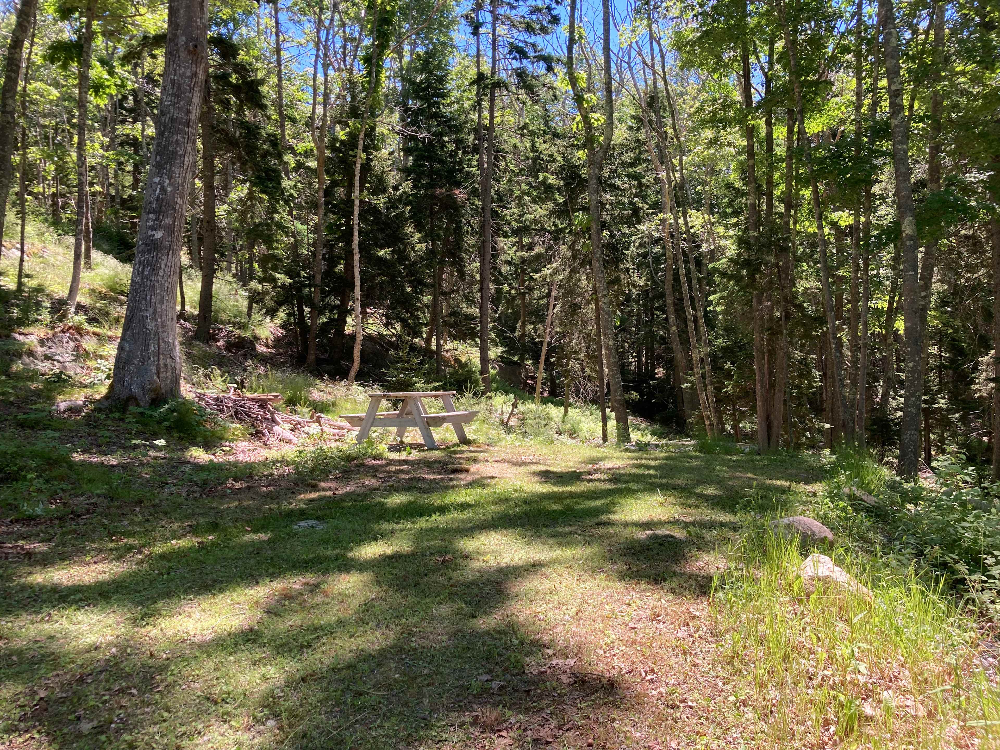 Camp Nepenthe