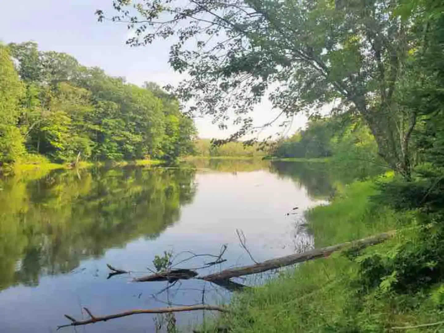 River Run Eco-Friendly Resort