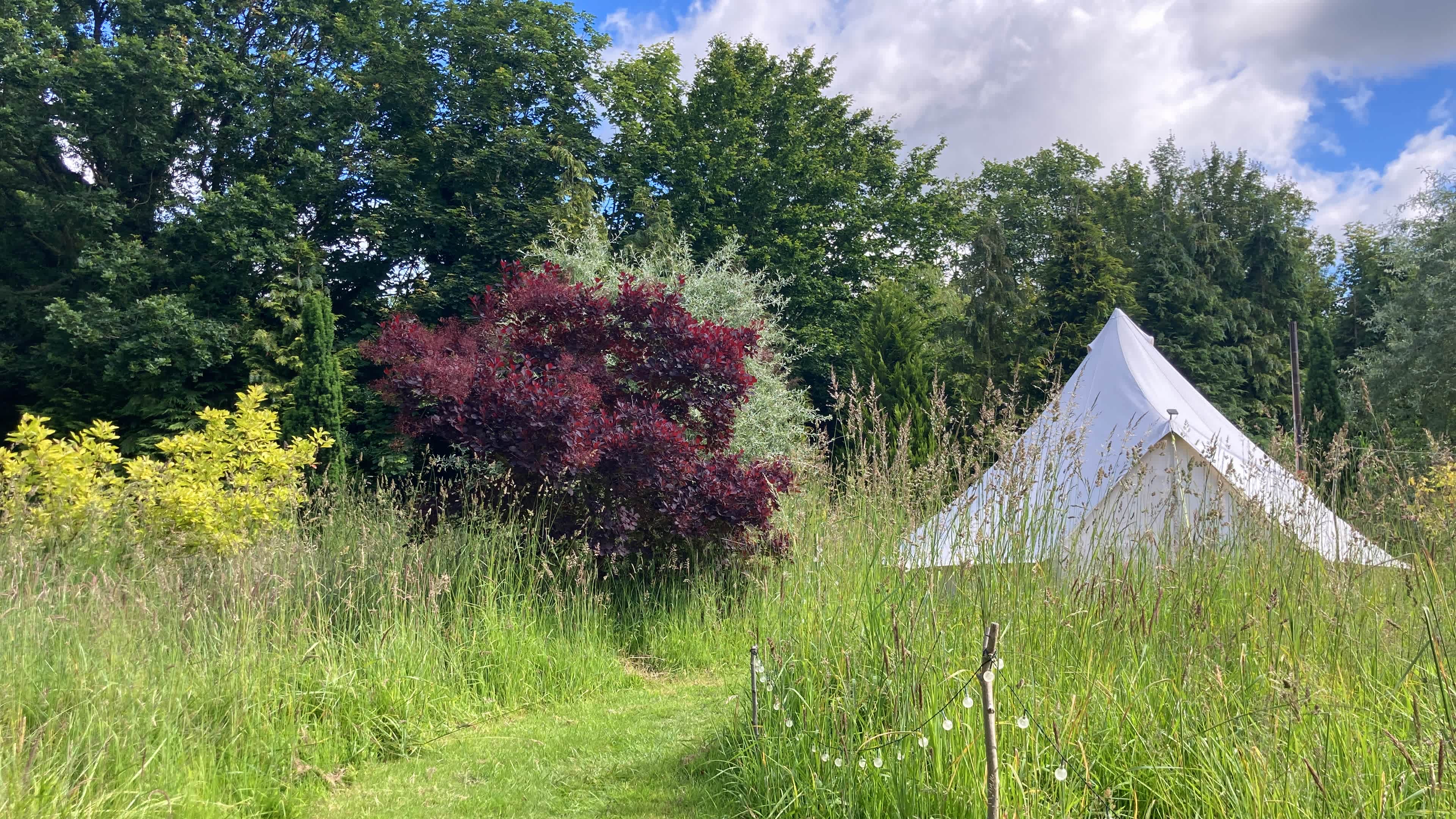 Glamping at Bressingham Gardens