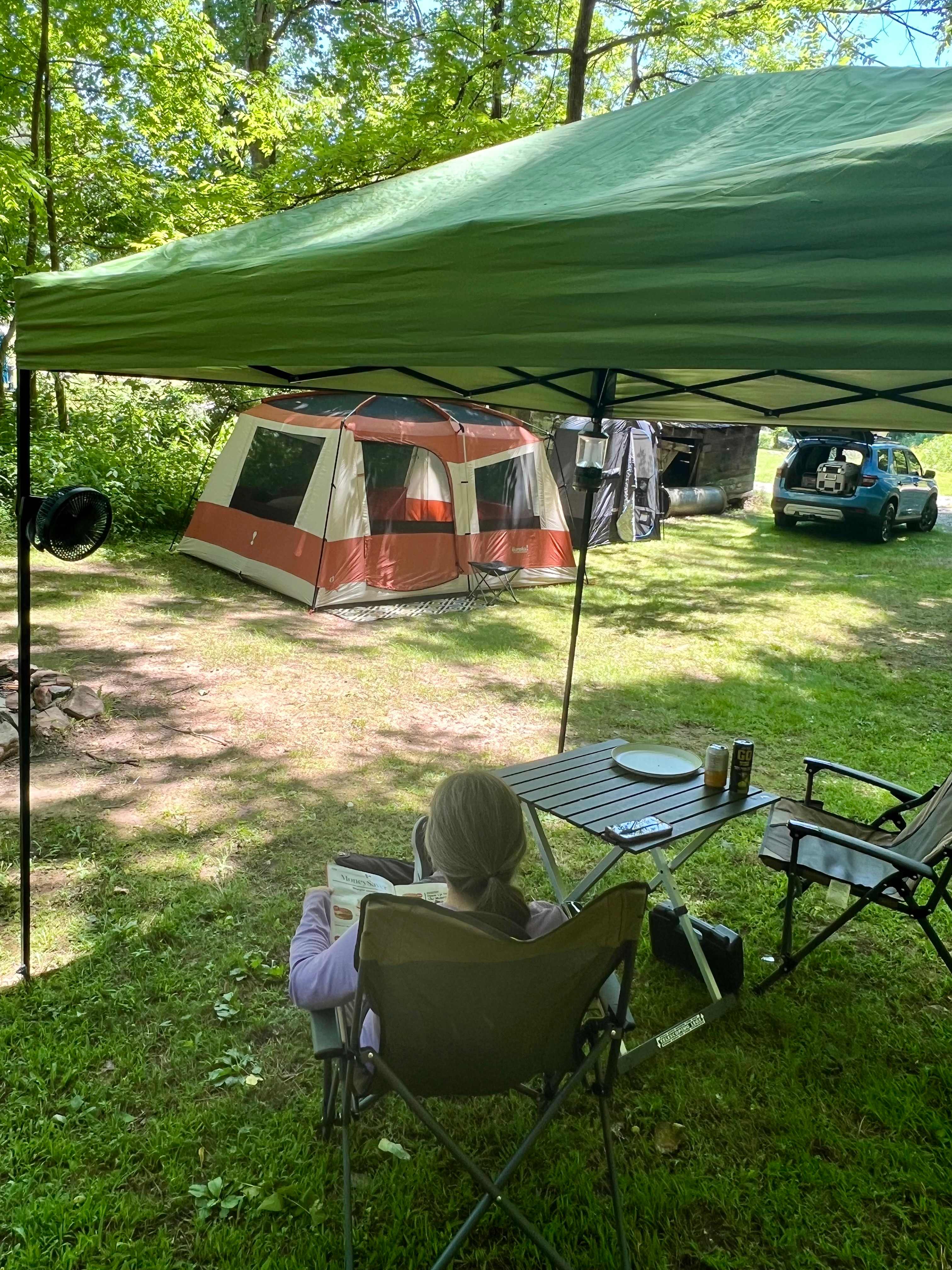 Picture of the site