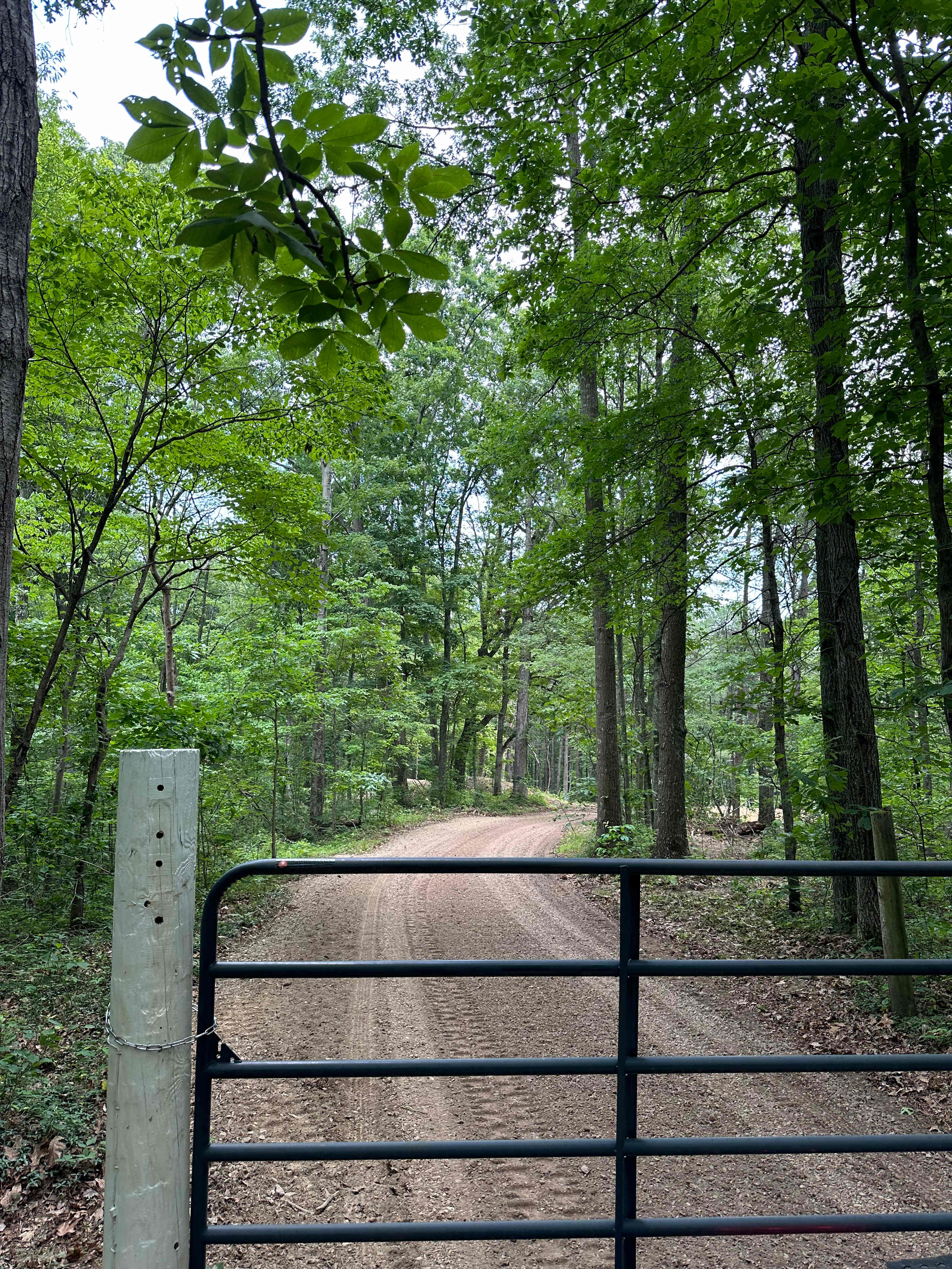 Hawk Falls - Main Site