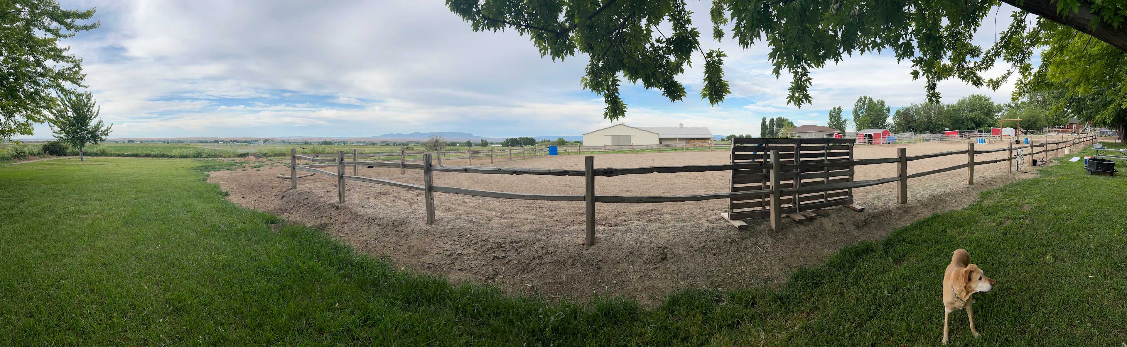Mini Acres Farm