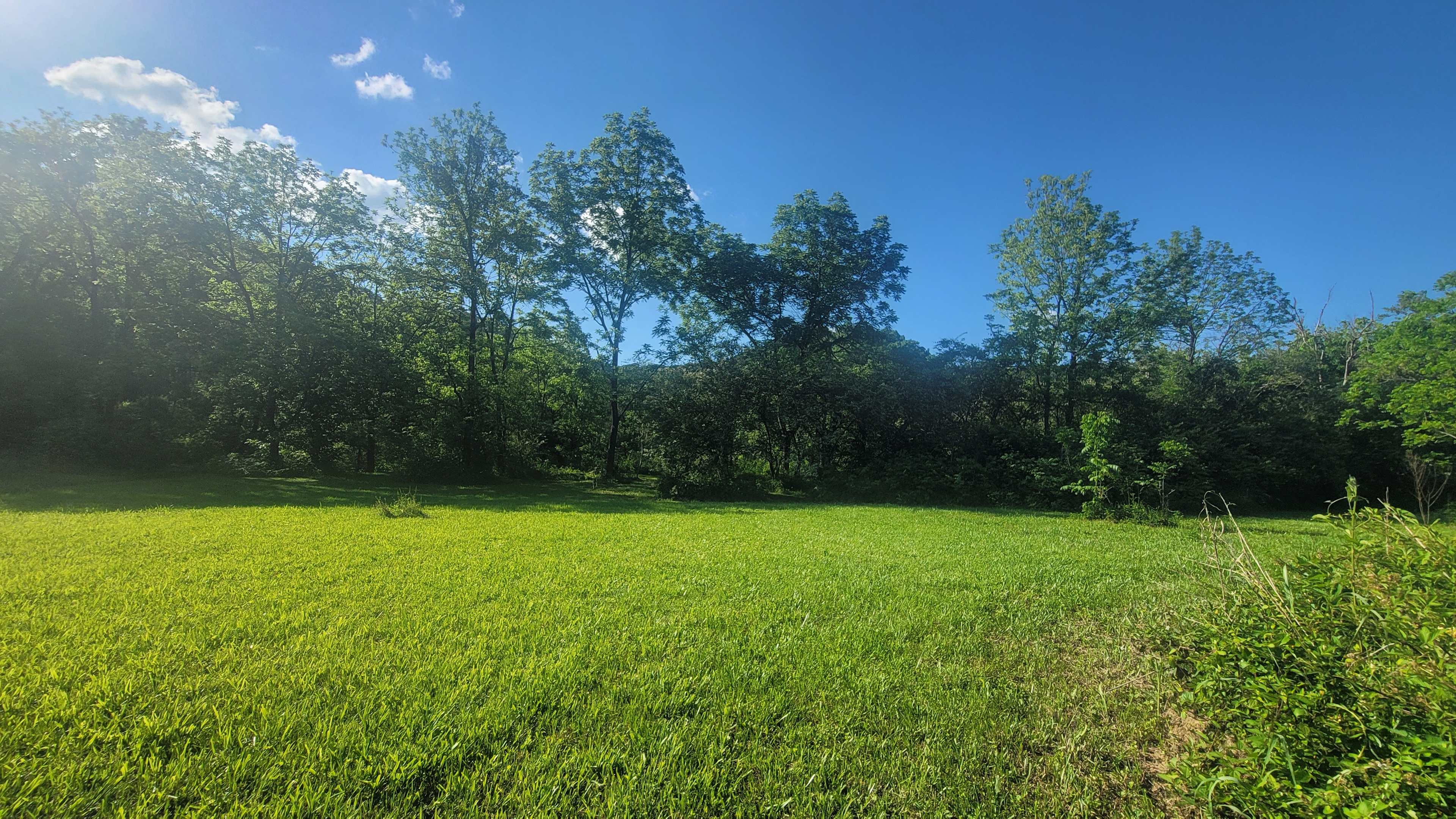 The Meadows at Poplar Creek