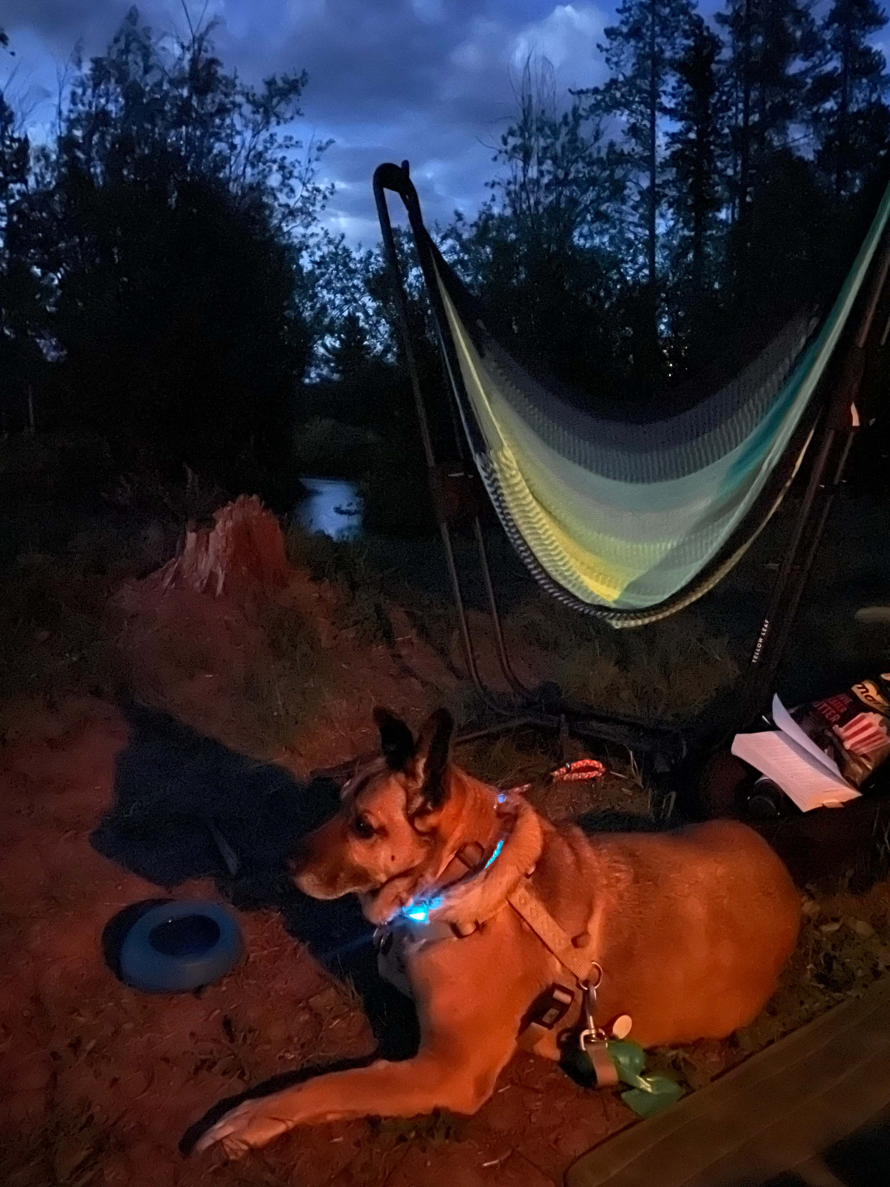 Angell Creek Campground