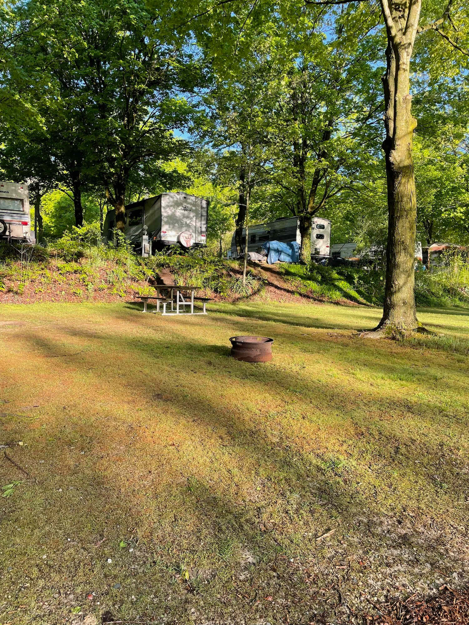 Forest Haven RV Park and Campground