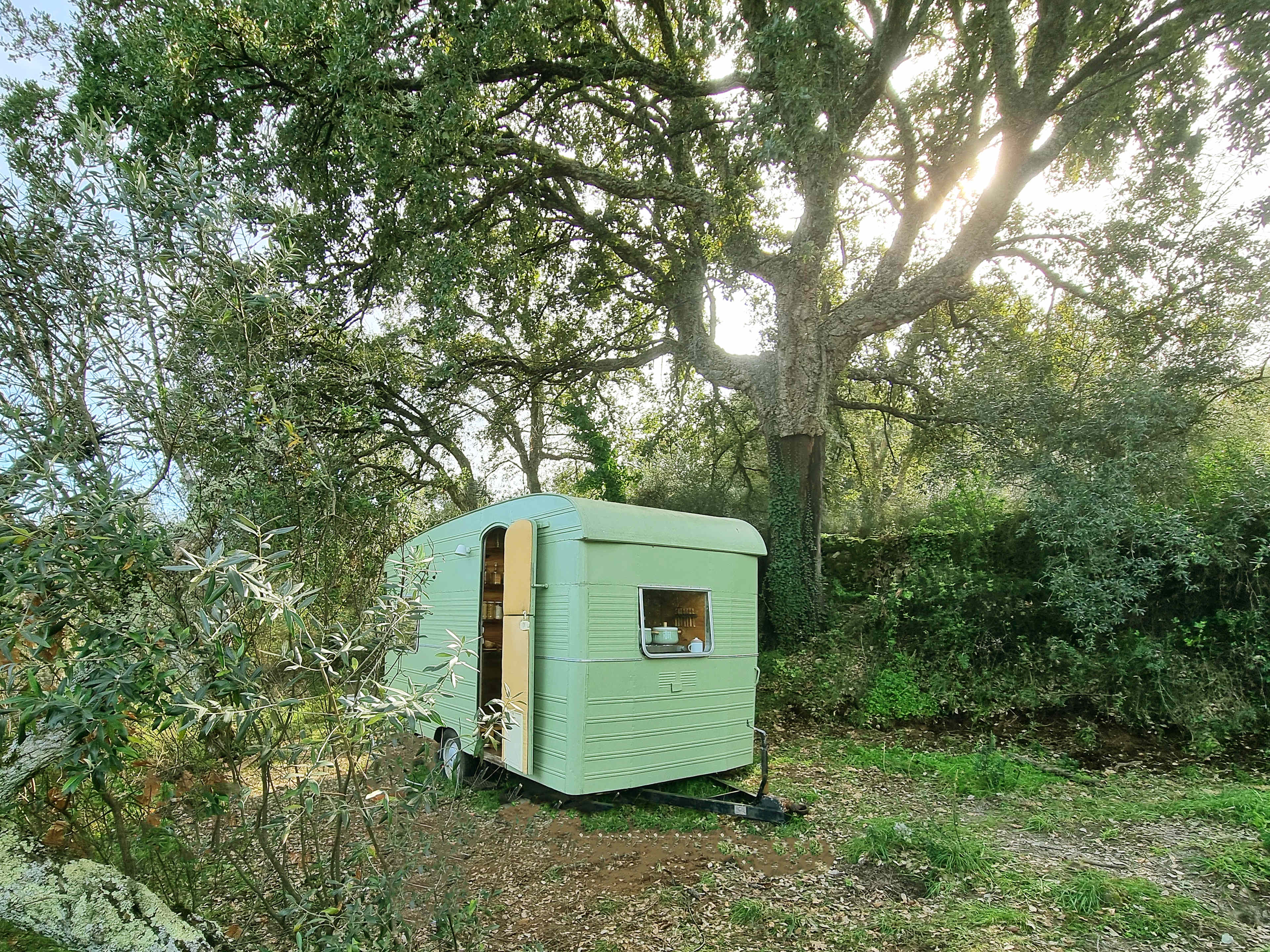 Olívia vintage trailer