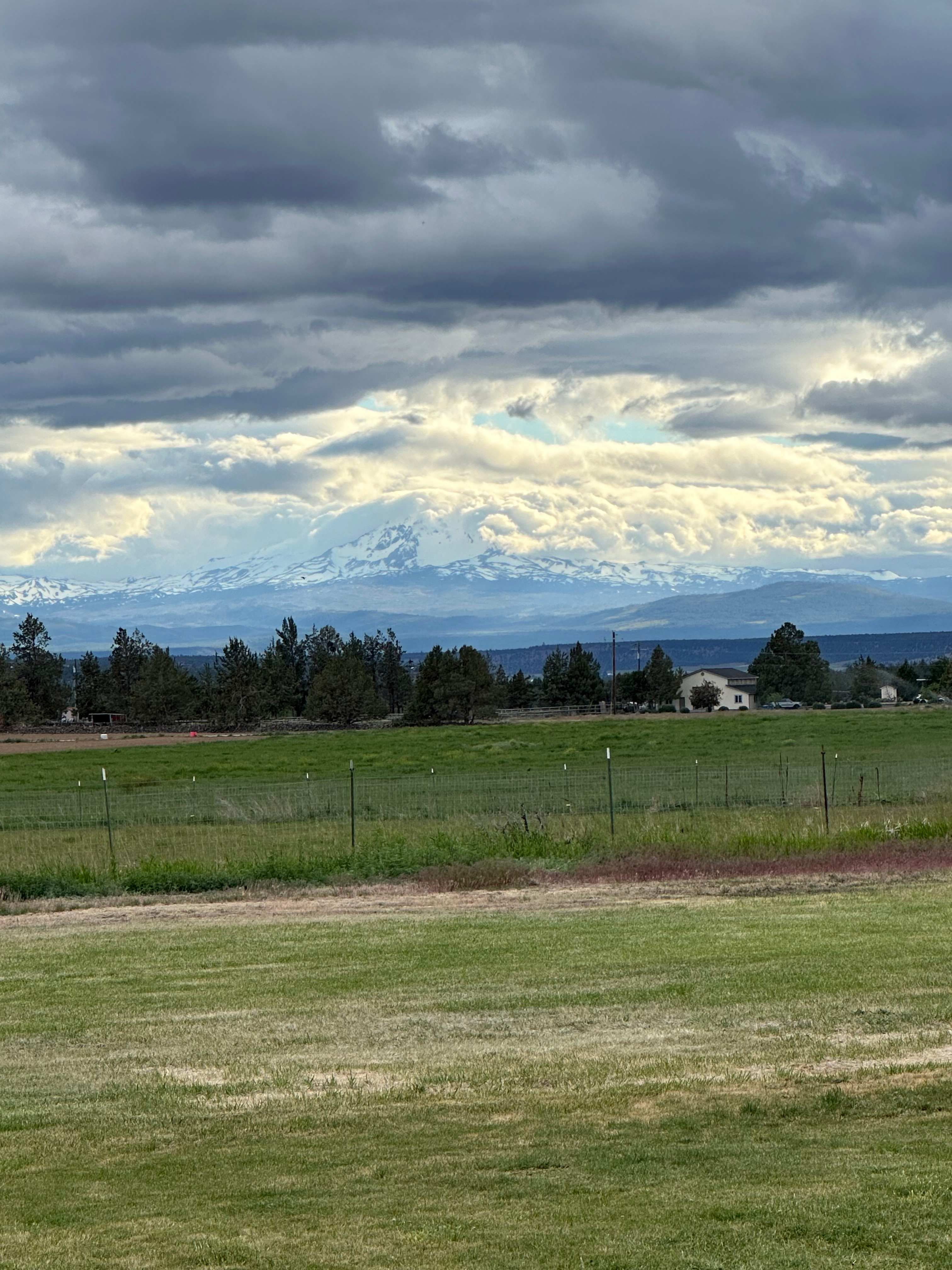 Bolton Estates Farm & Gardens